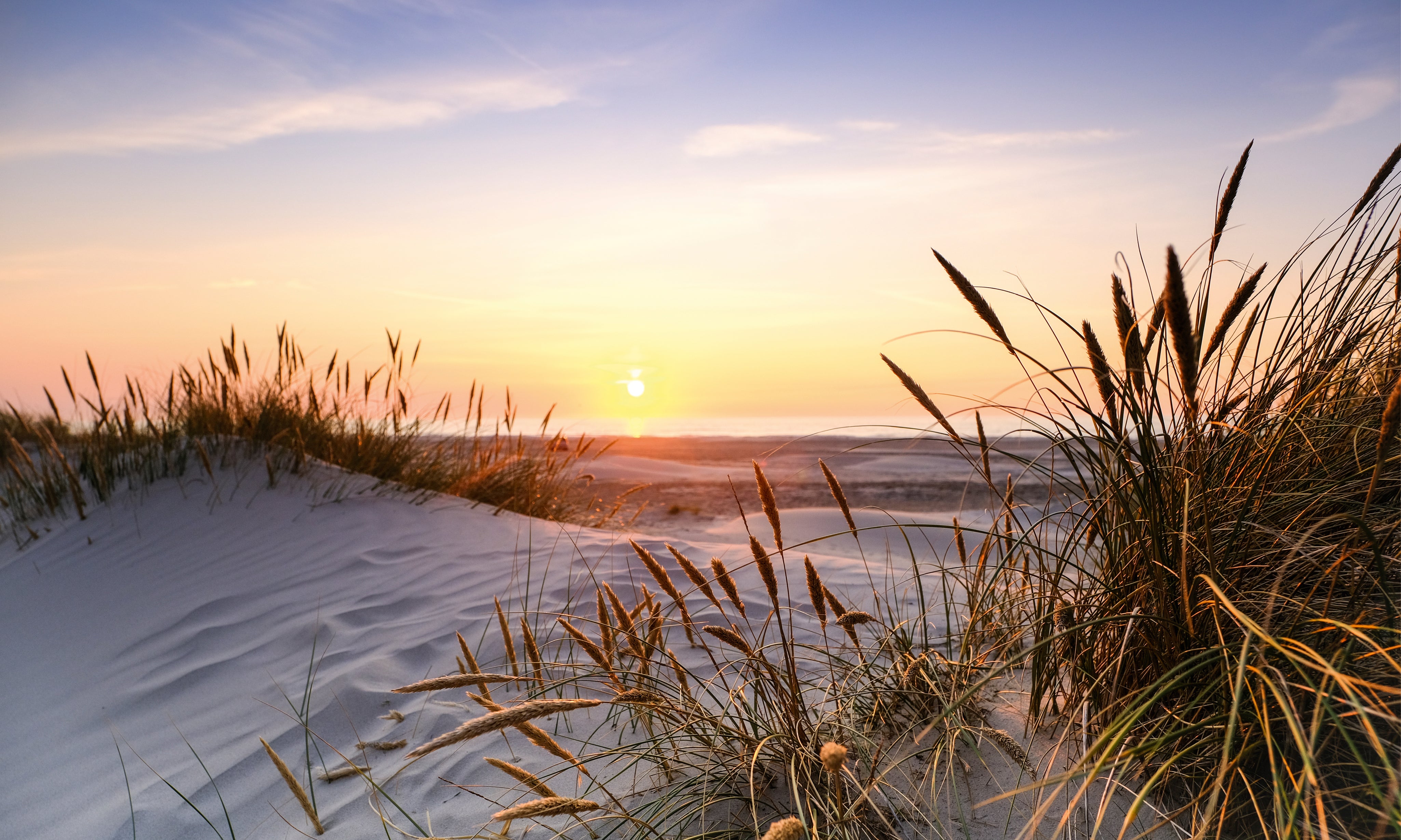 Eveningbythedunes-150x100cm.jpg