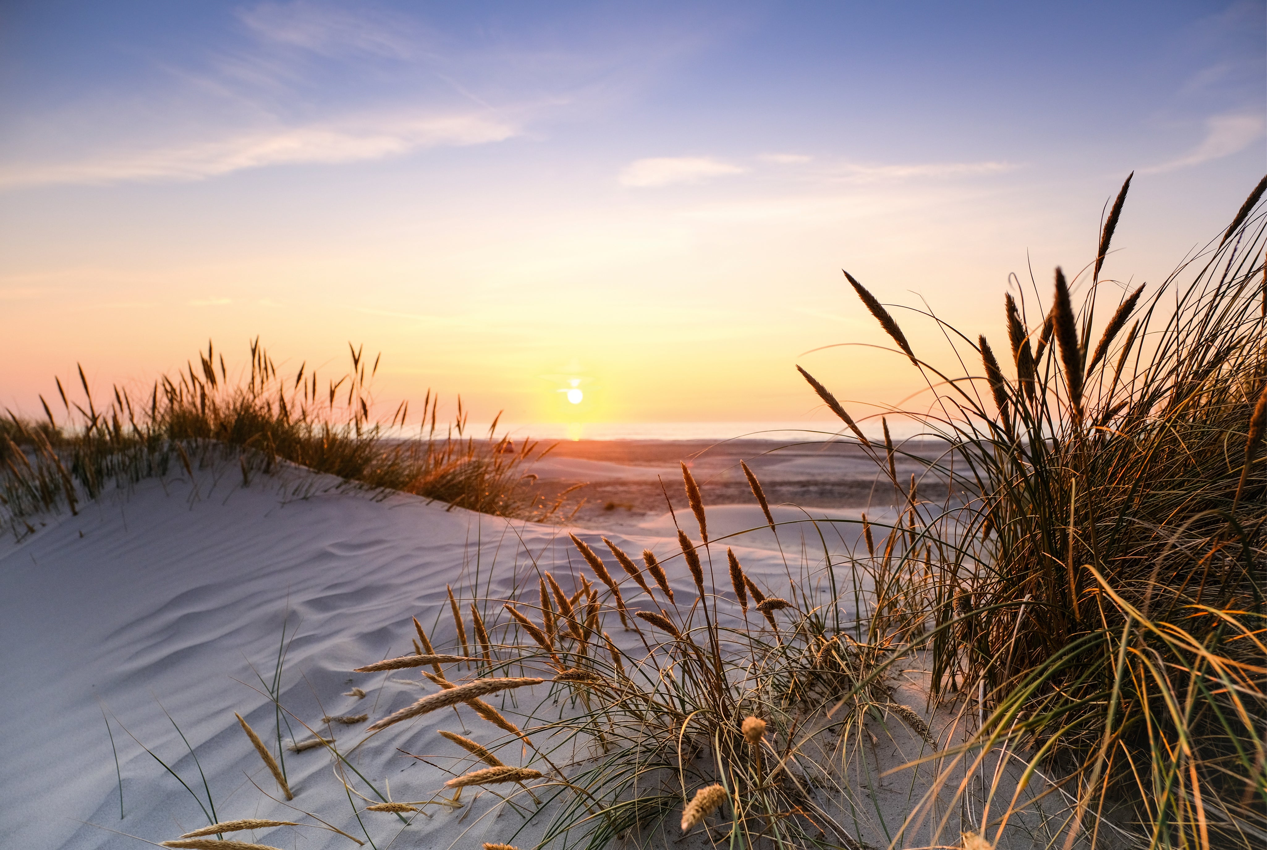 Evening by the dunes