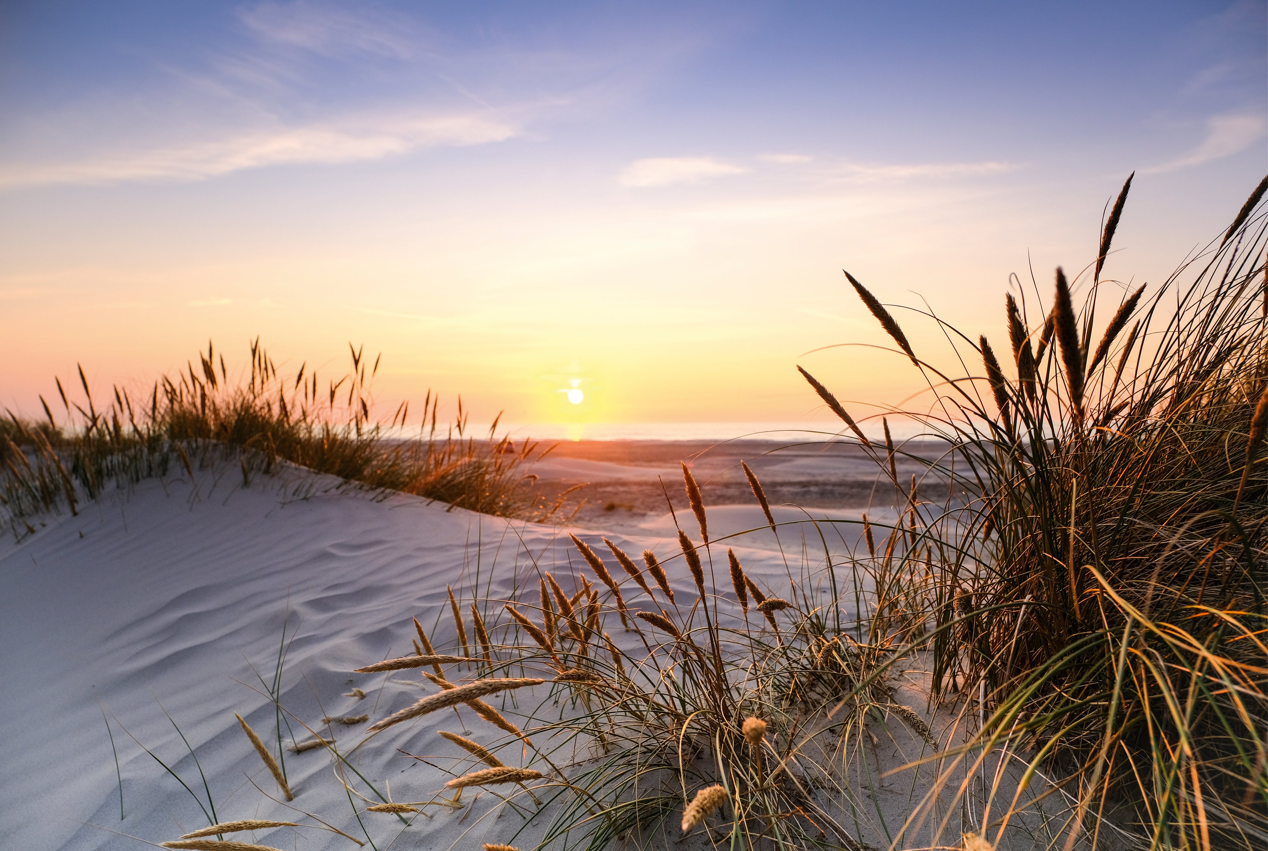 Eveningbythedunes-150x100cm.jpg