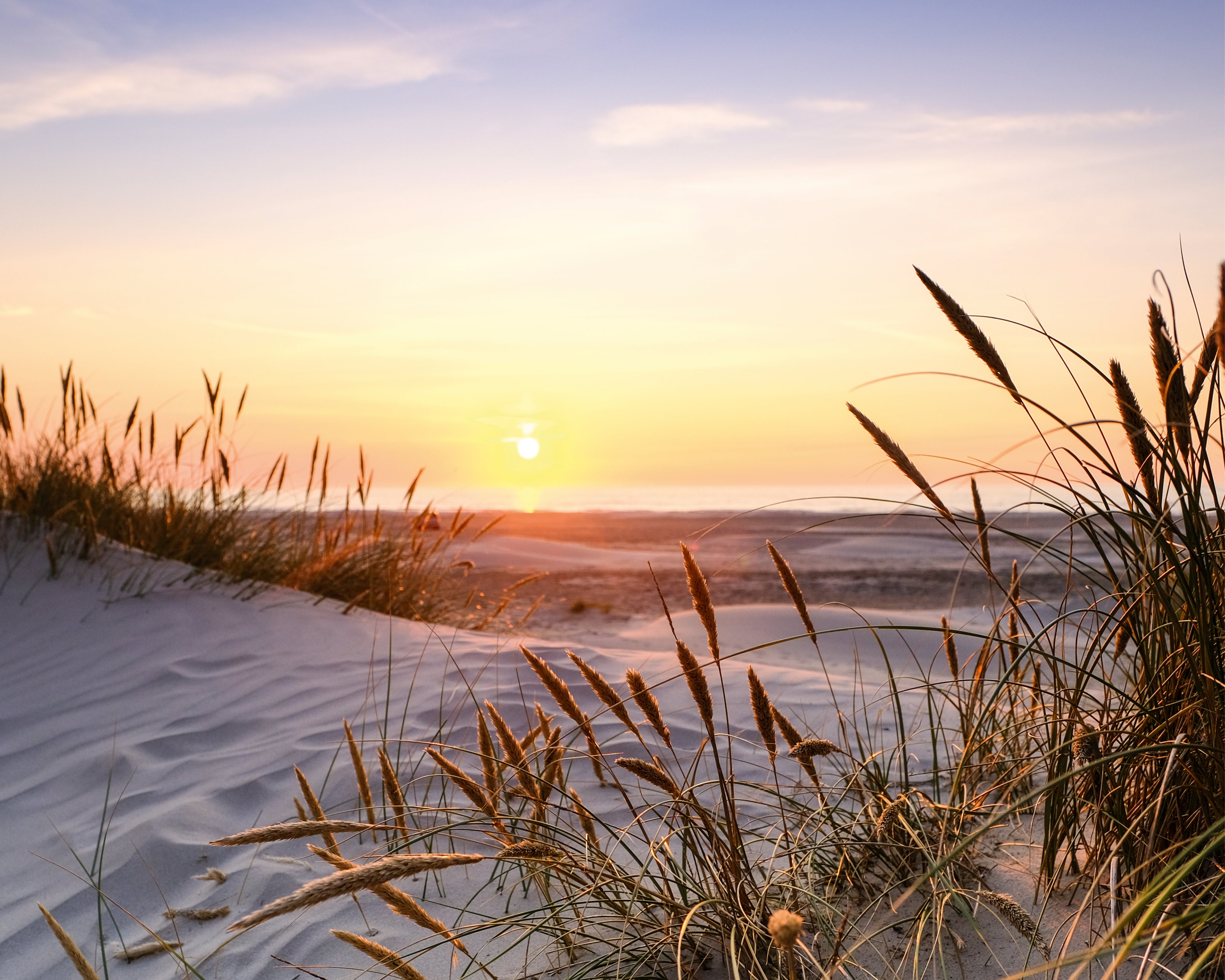 Eveningbythedunes-150x150cm.jpg