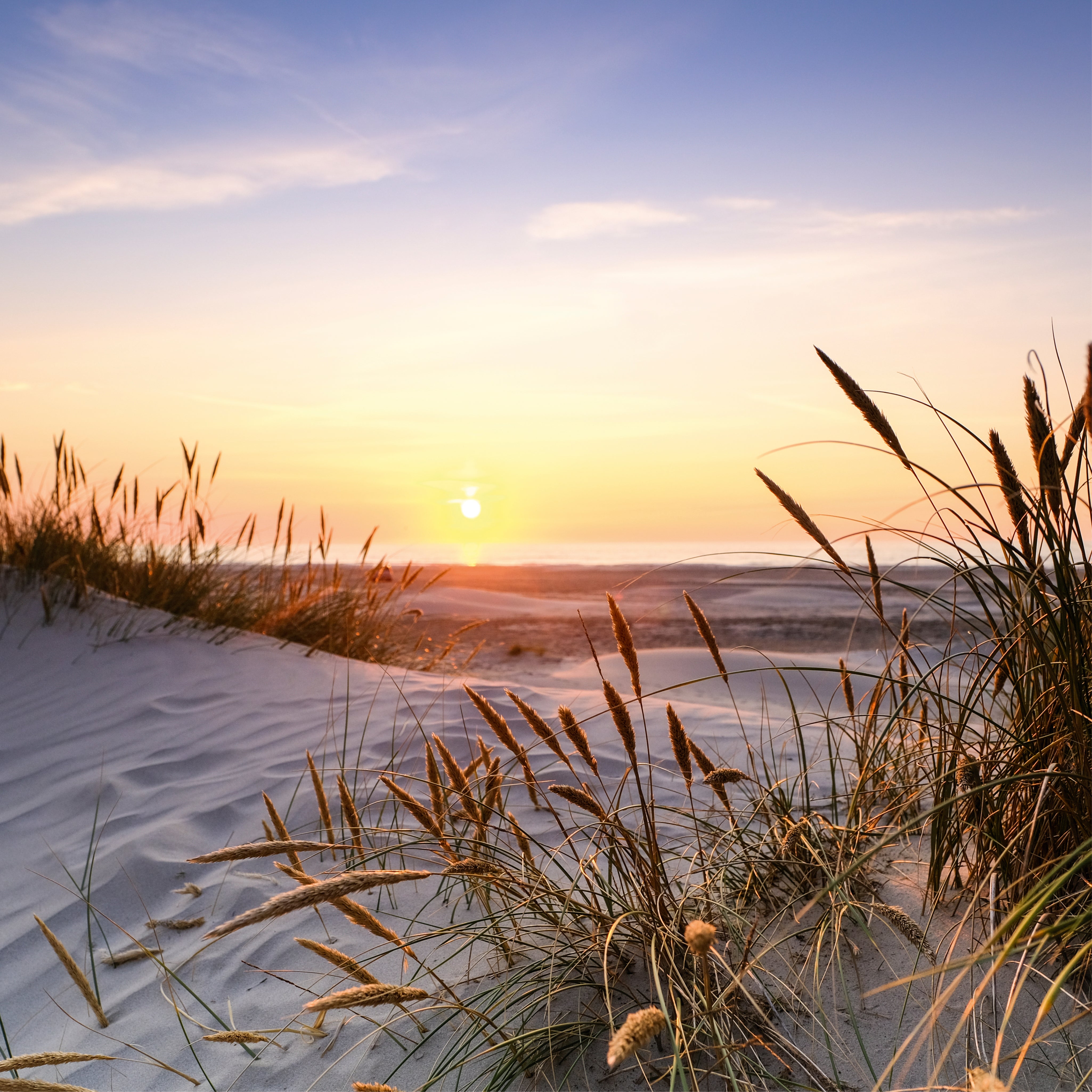 Evening by the dunes