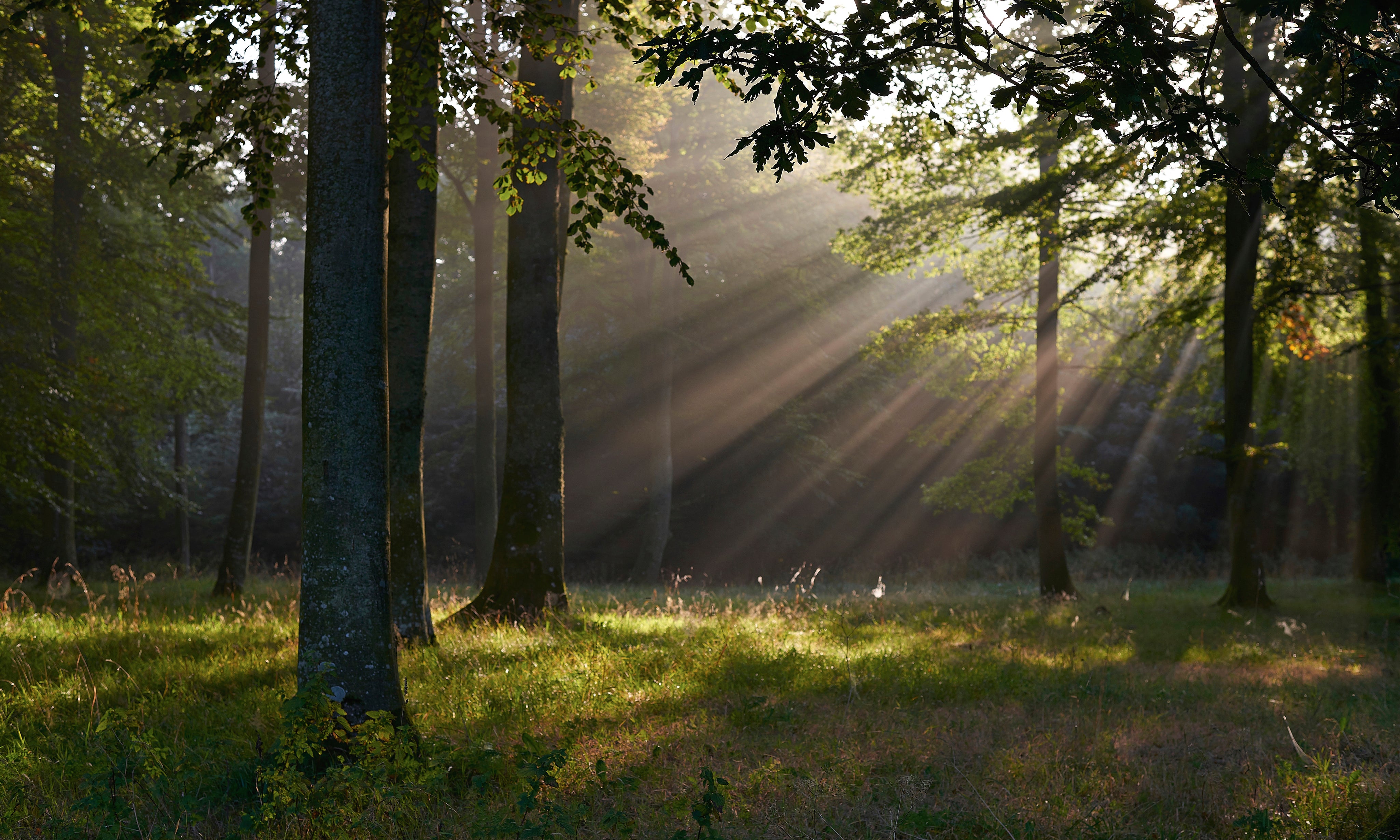 Eveningglow-150x100cm_b7d8b357-a205-410d-a266-61f9bb820496.jpg