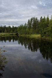 Evergreen mirror