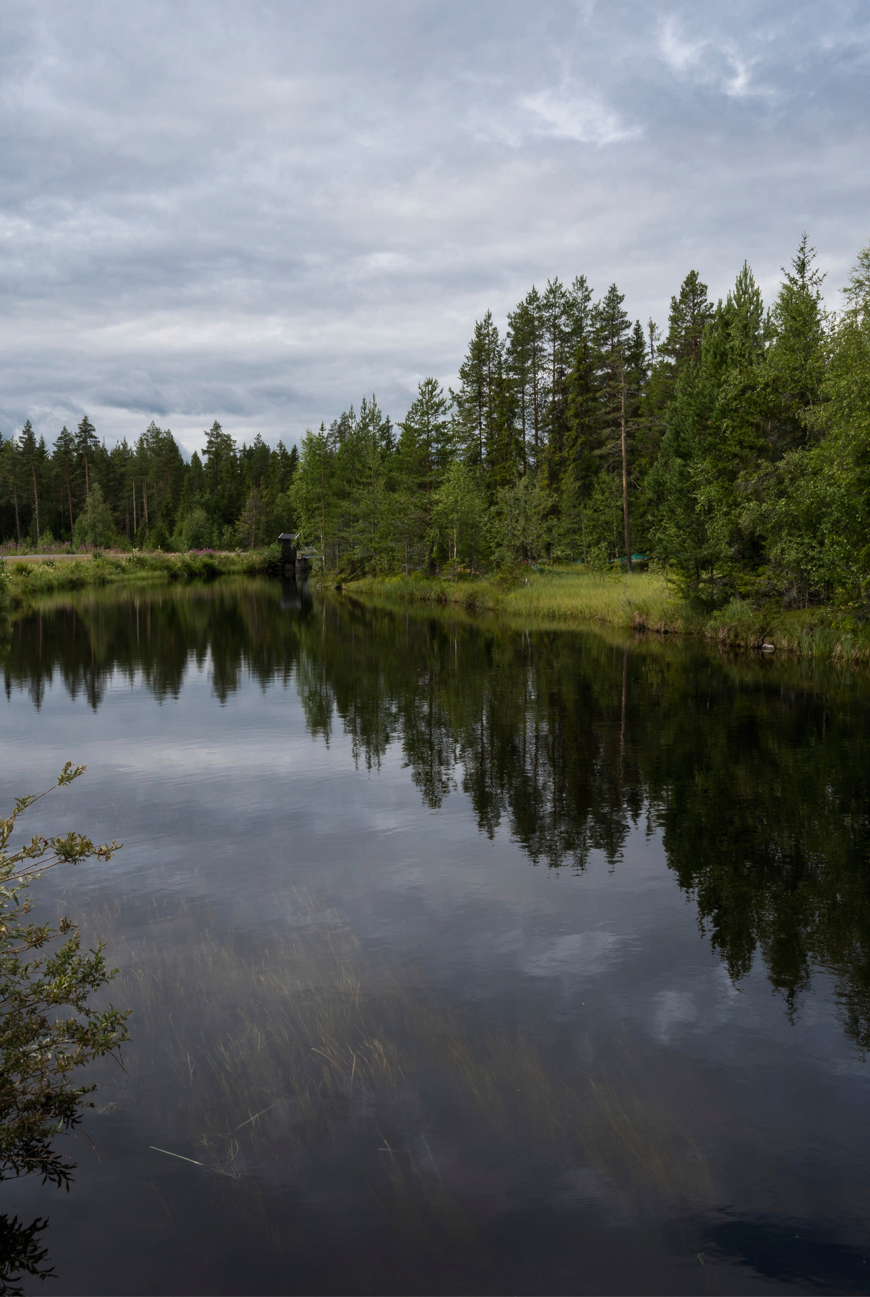 Evergreen mirror