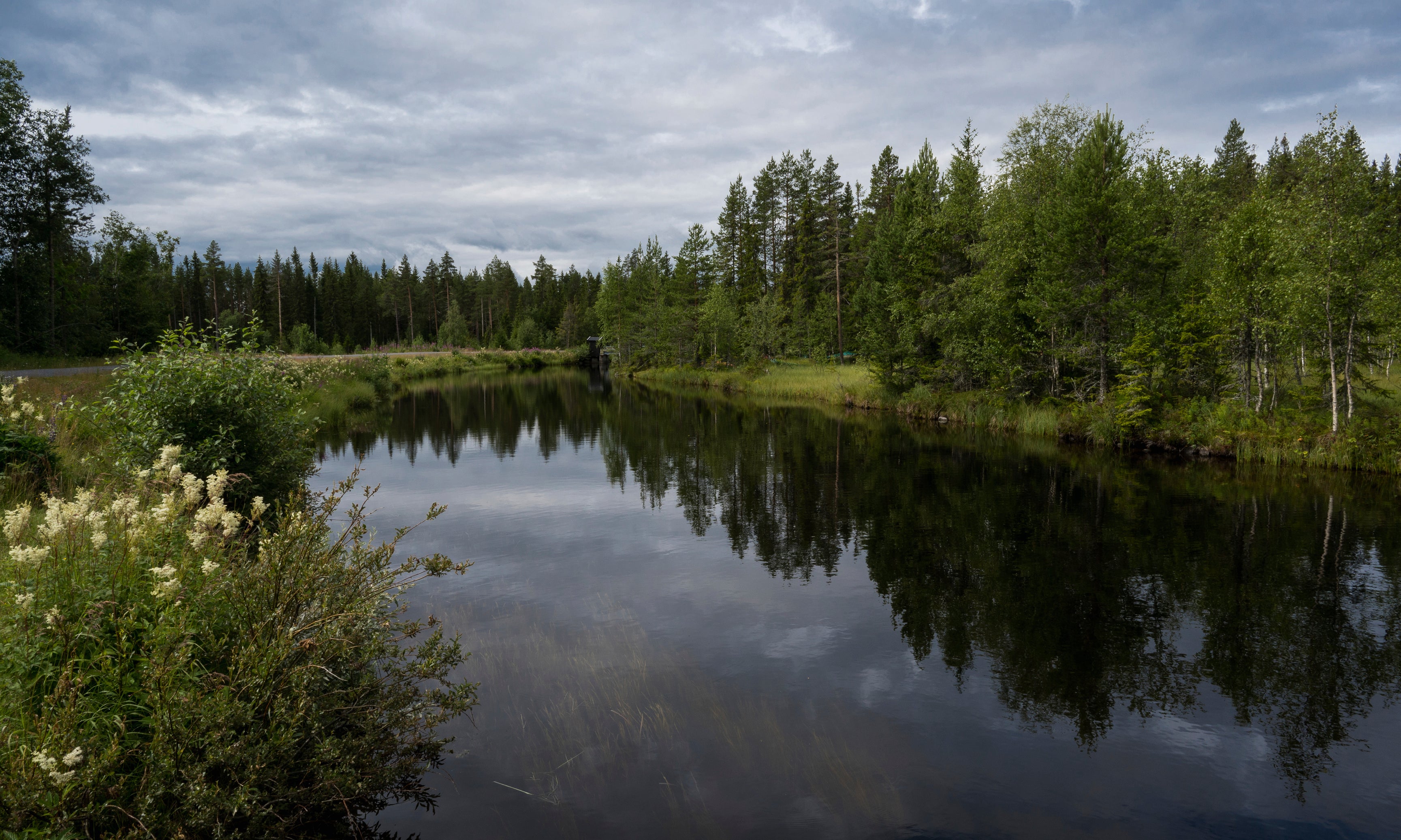 Evergreenmirror-120x80cm.jpg