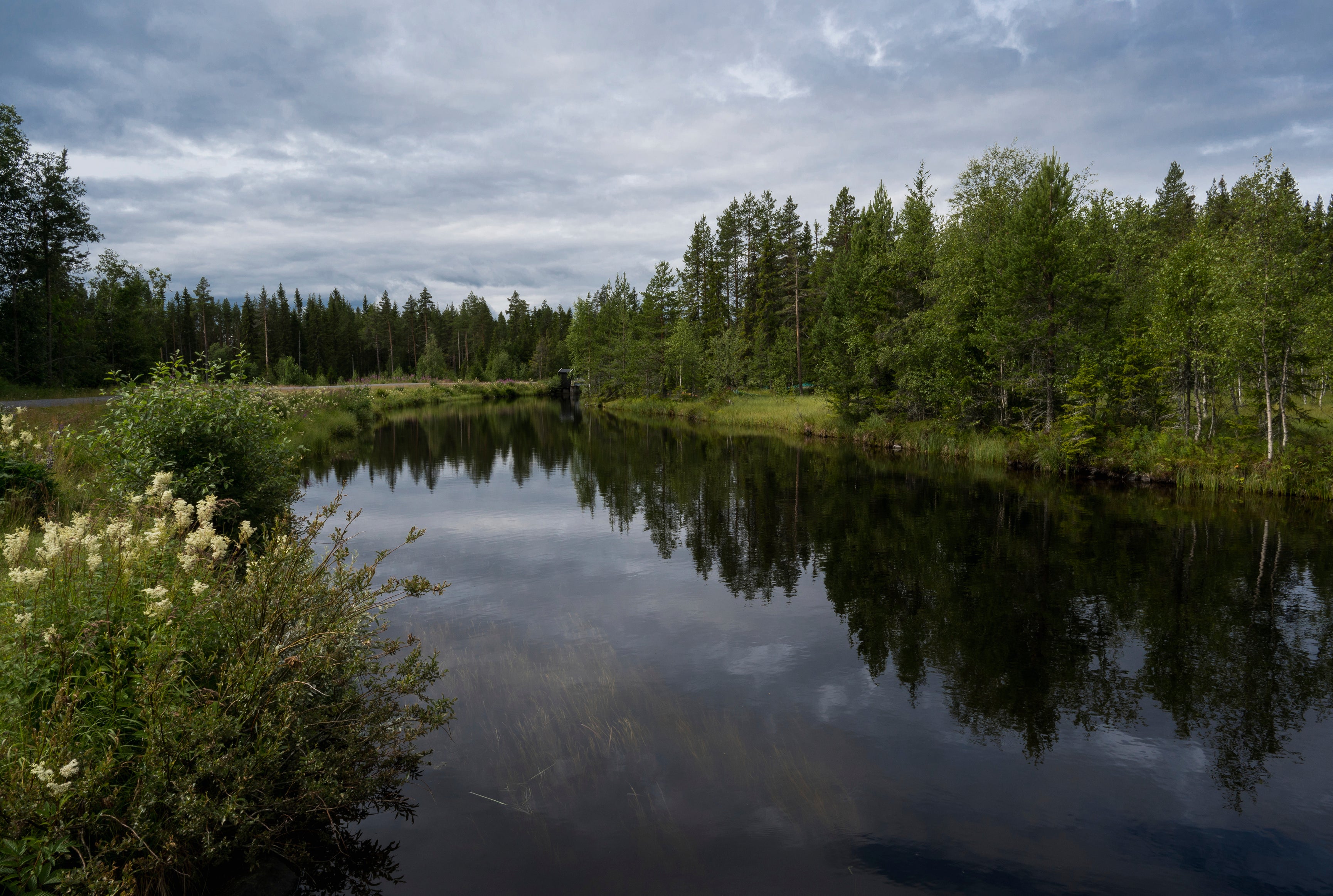 Evergreenmirror-120x80cm.jpg