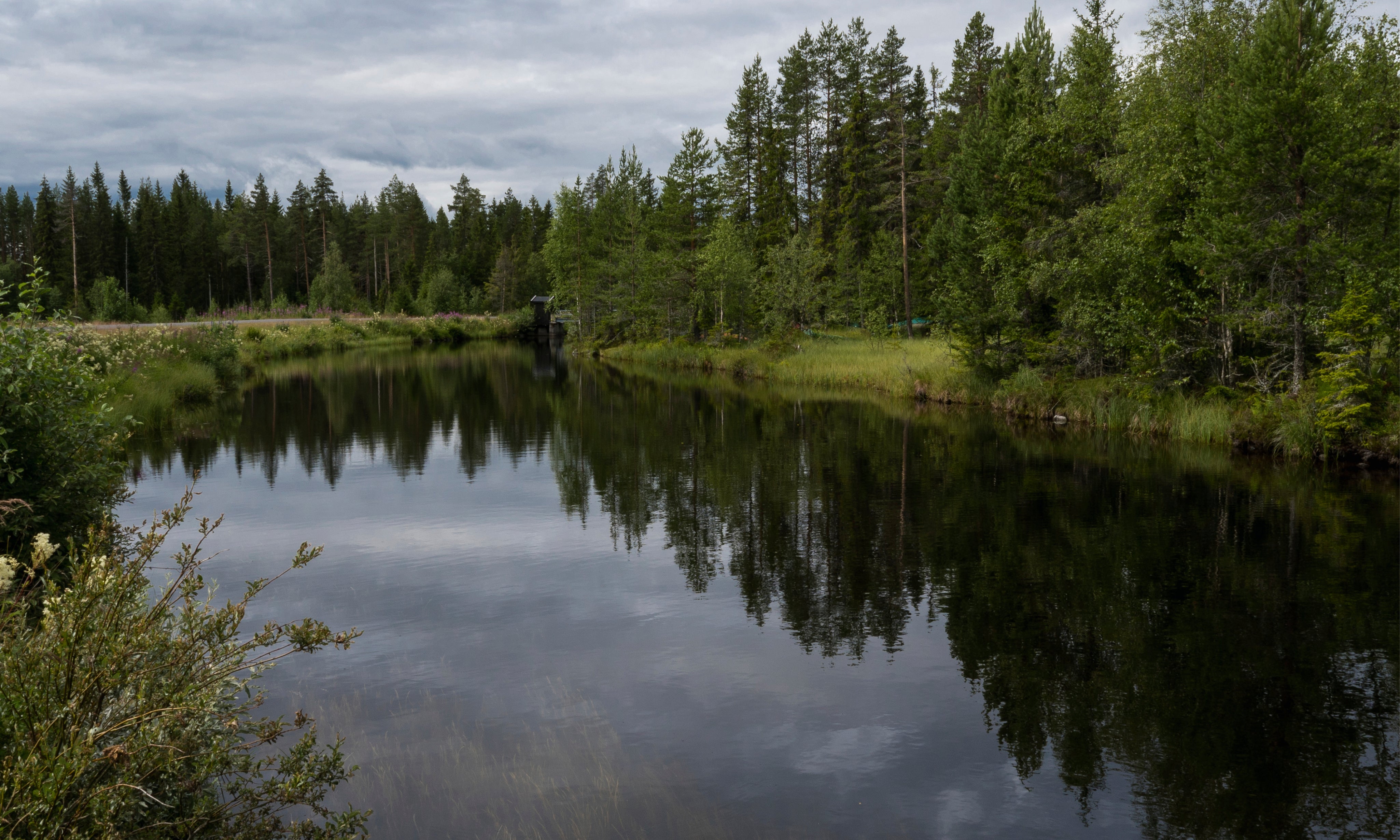 Evergreenmirror-150x150cm.jpg