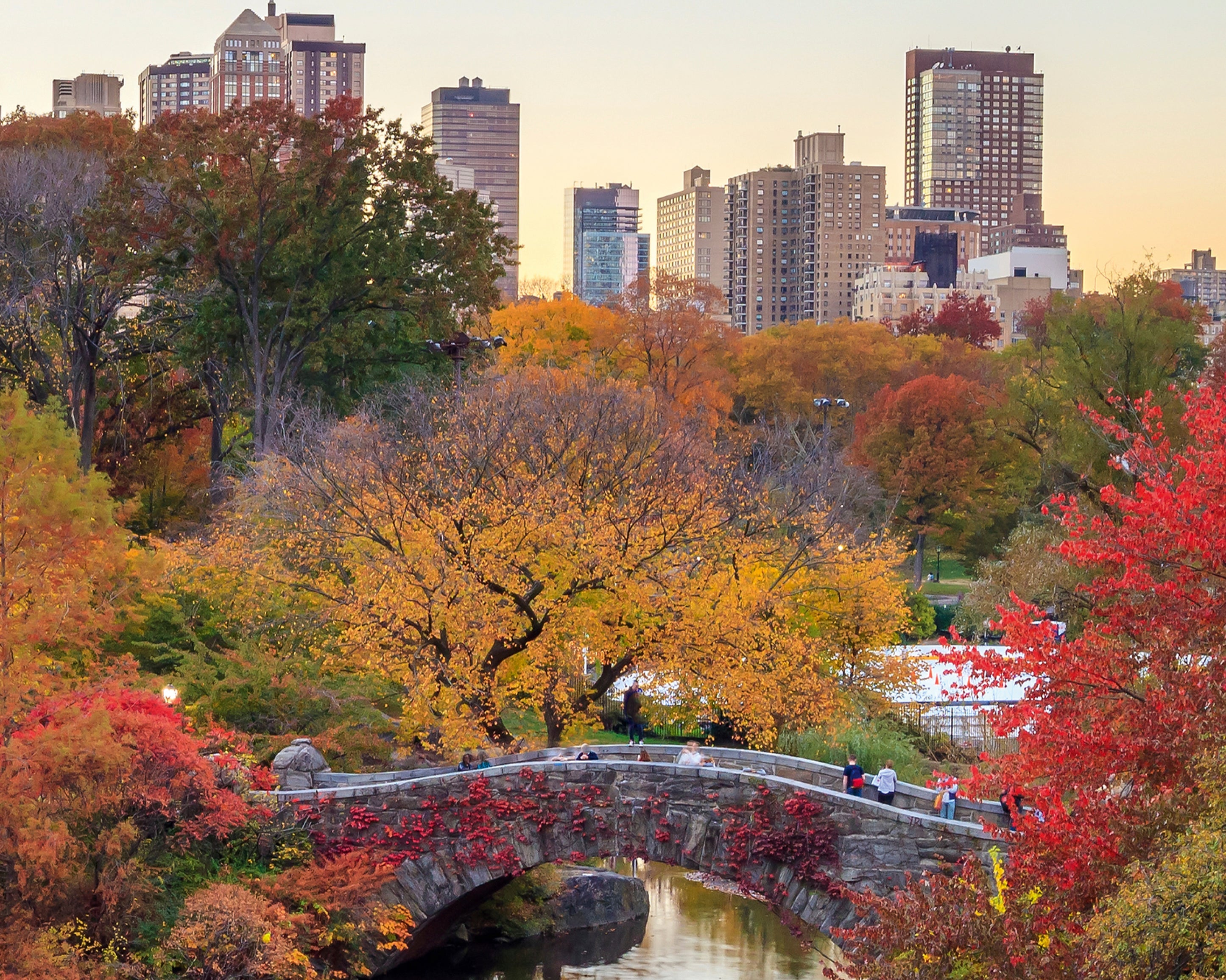 FallinNYC-100x150cm.jpg