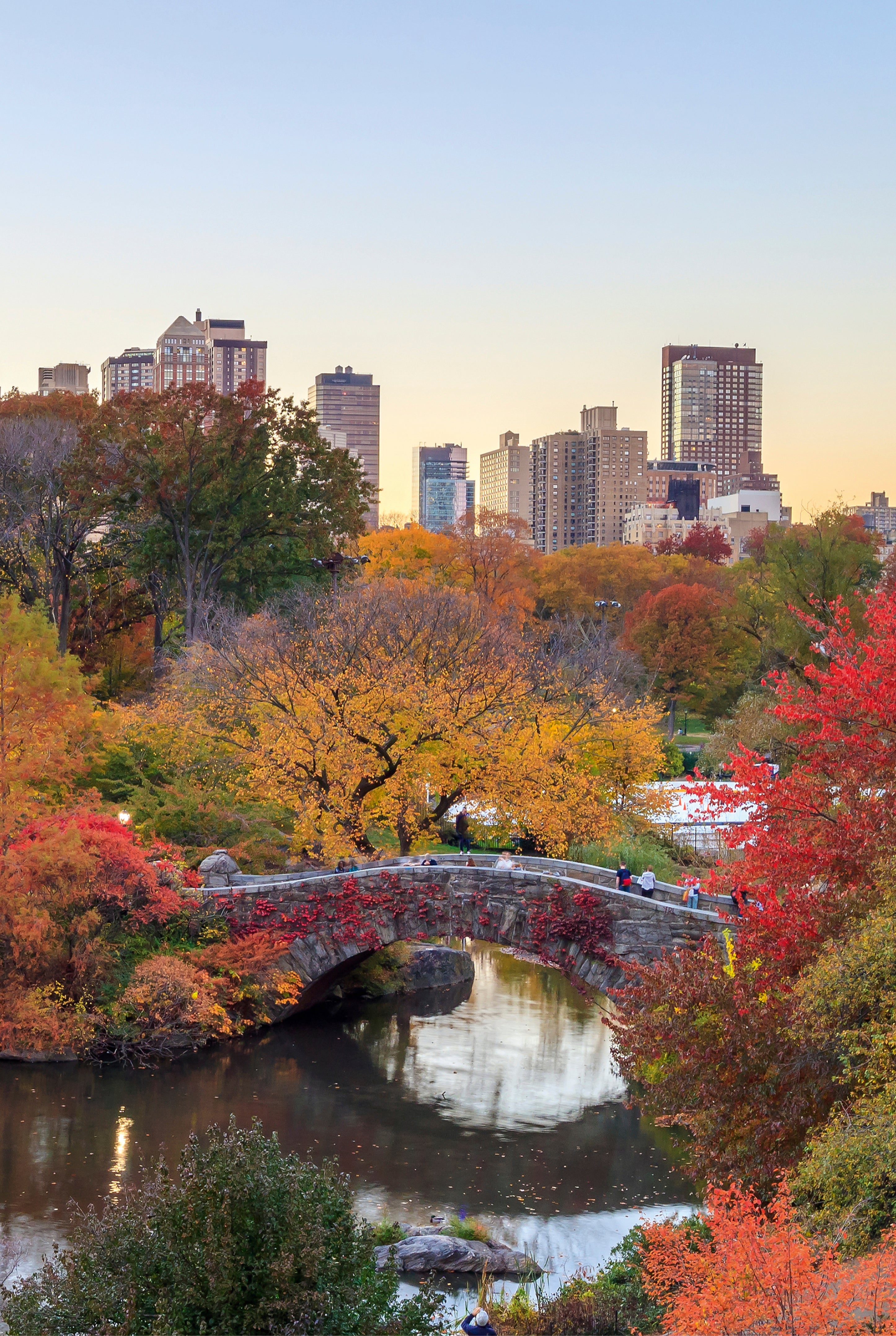 Fall in NYC