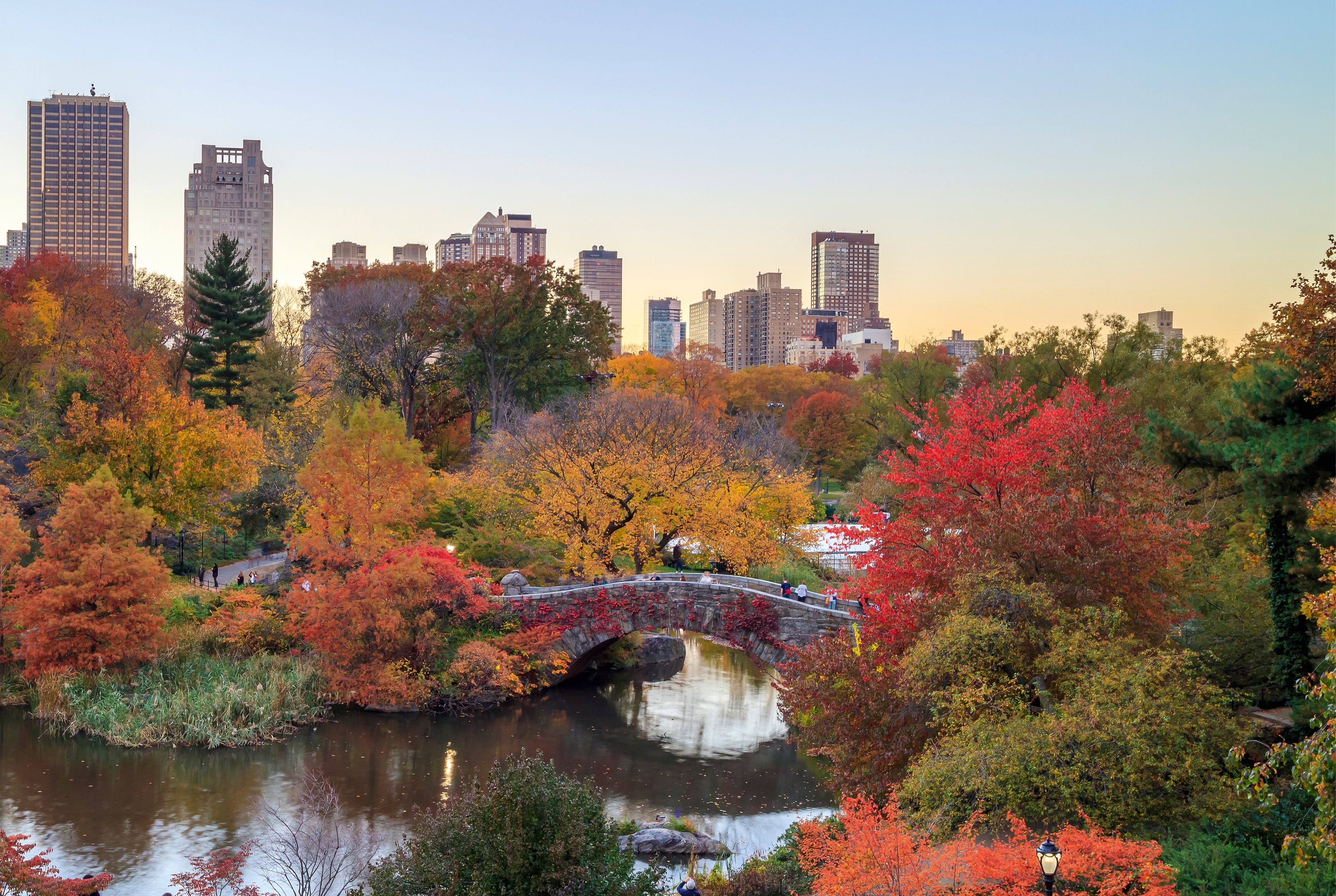 FallinNYC-150x100cm.jpg