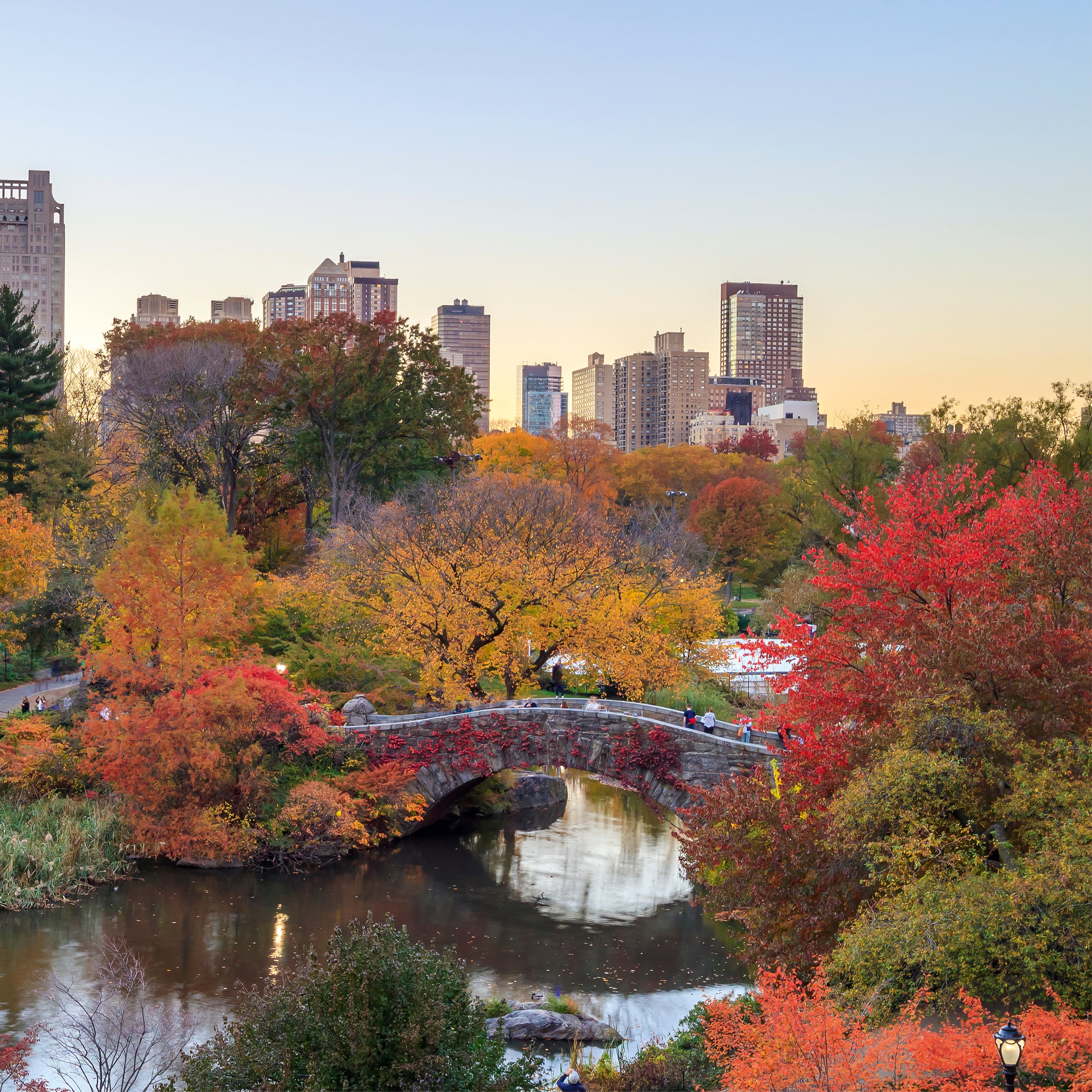 Fall in NYC