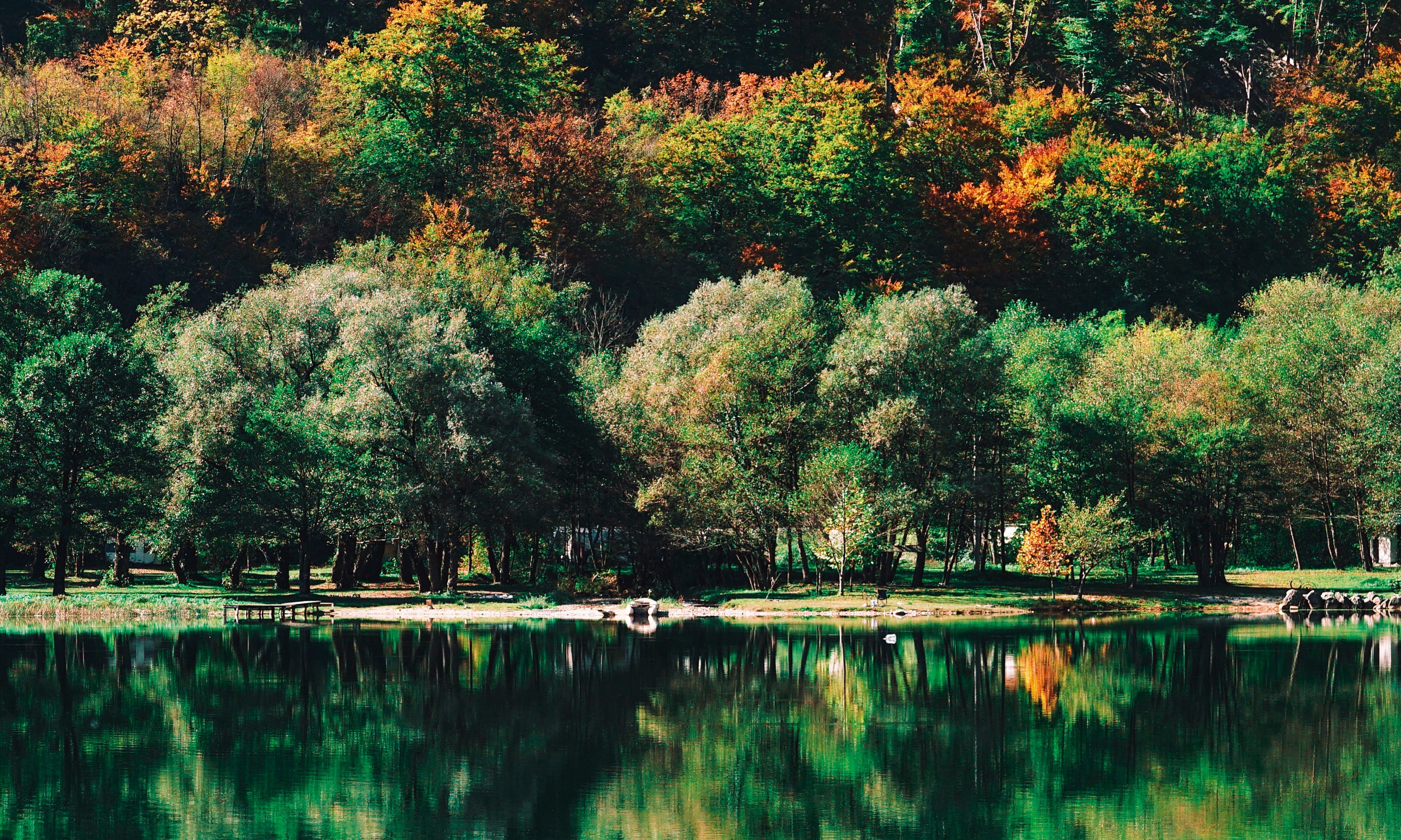 Fallreflected-100x150cm.jpg