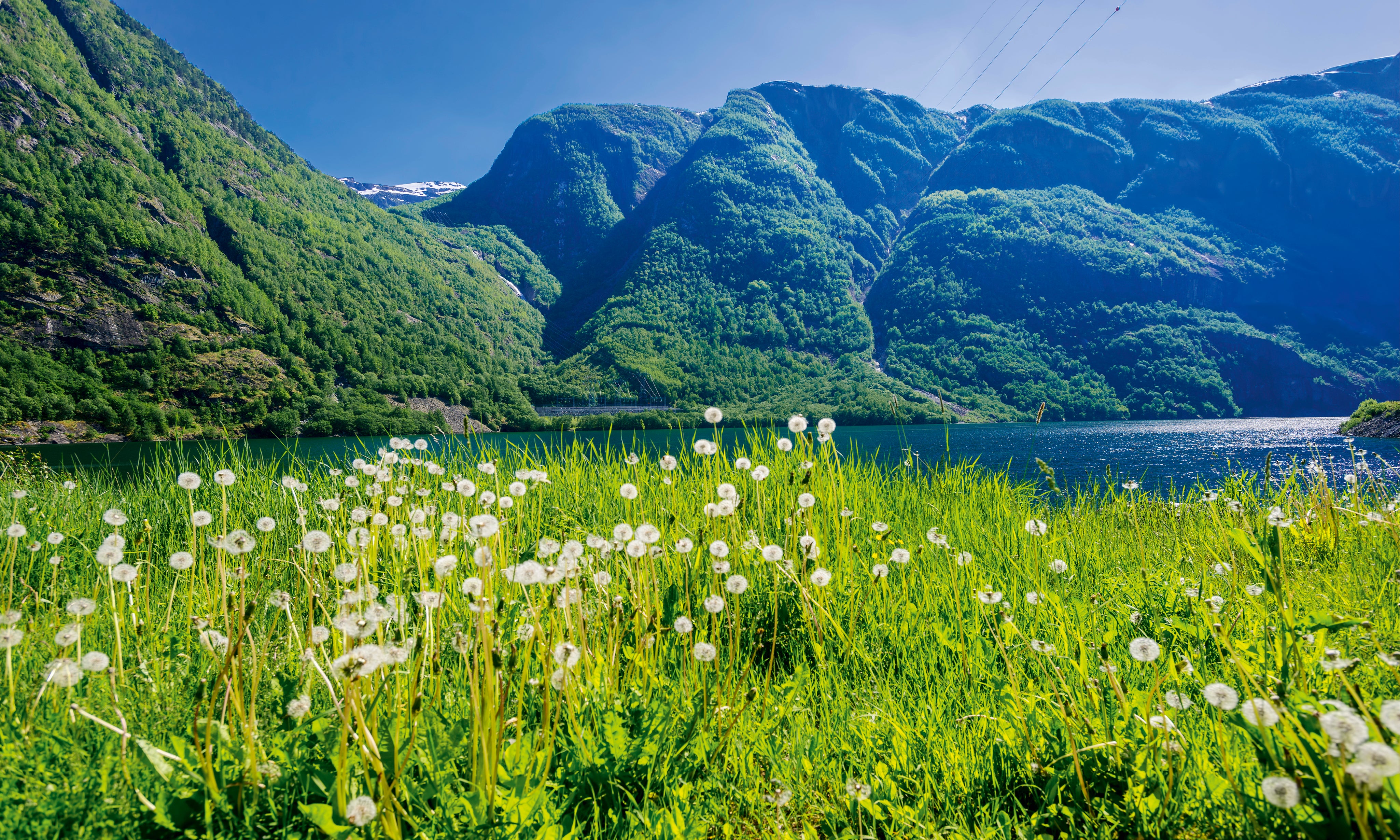 Fjordinbloom-150x100cm.jpg