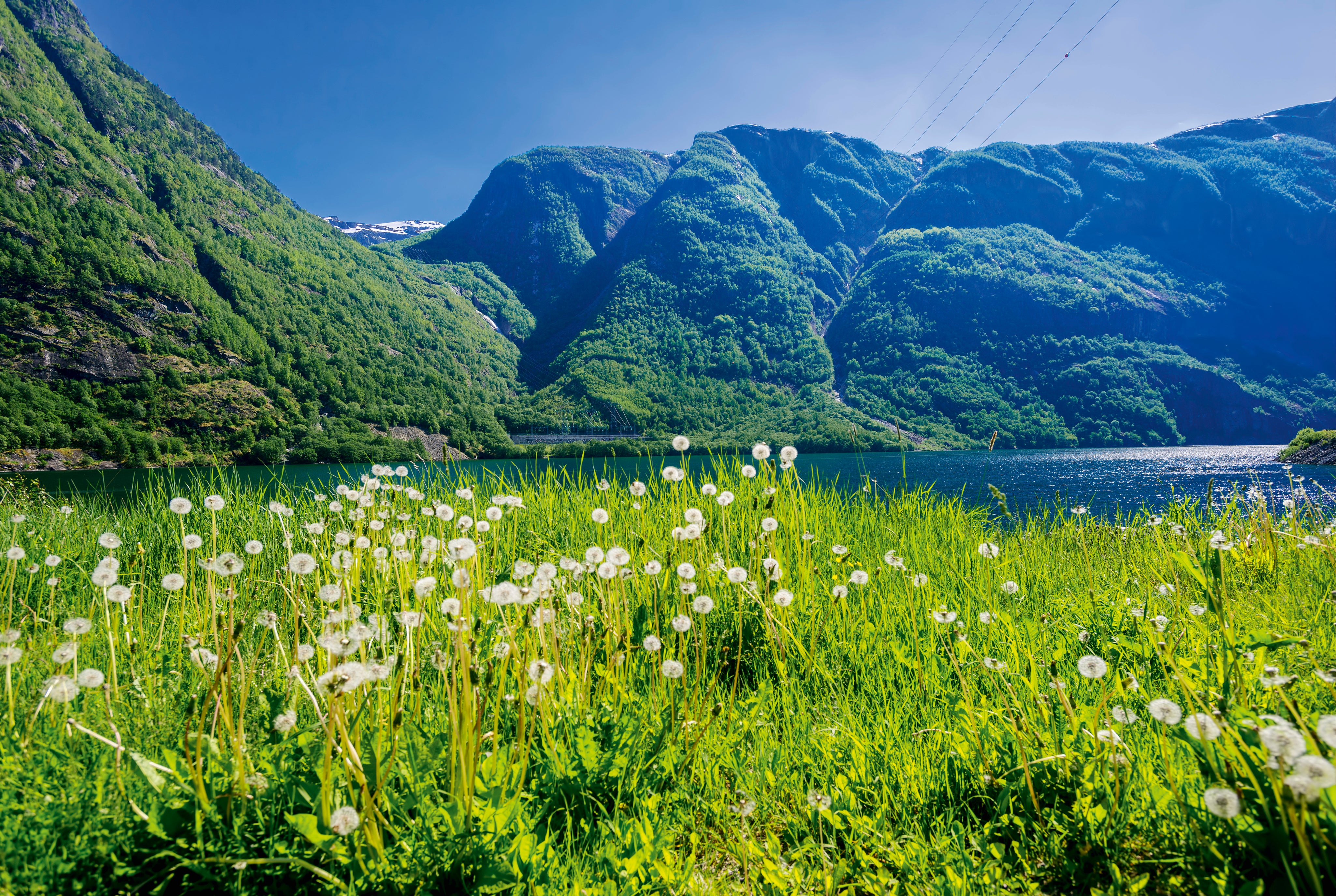 Fjordinbloom-150x100cm.jpg