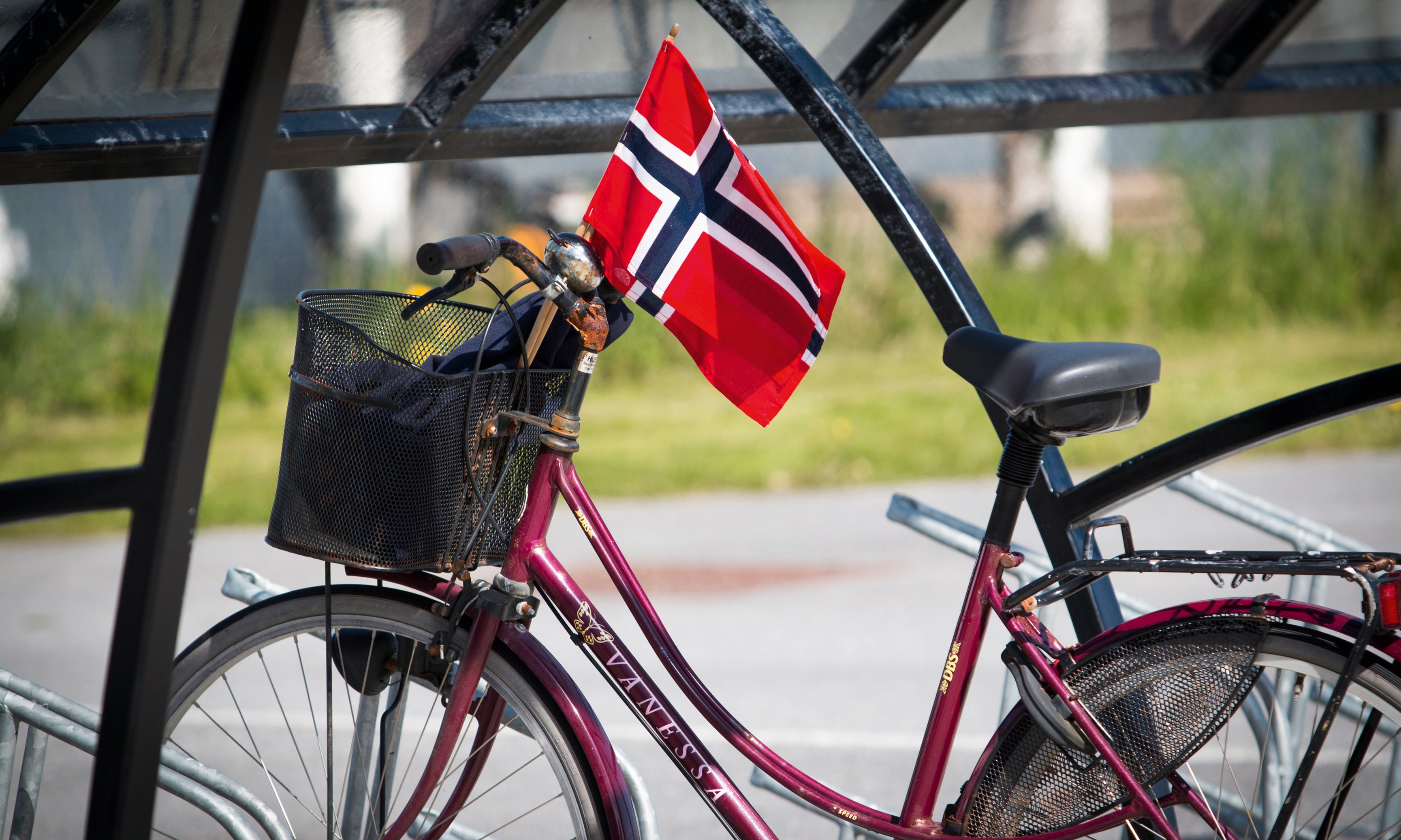 Flaggedbike-120x80cm.jpg