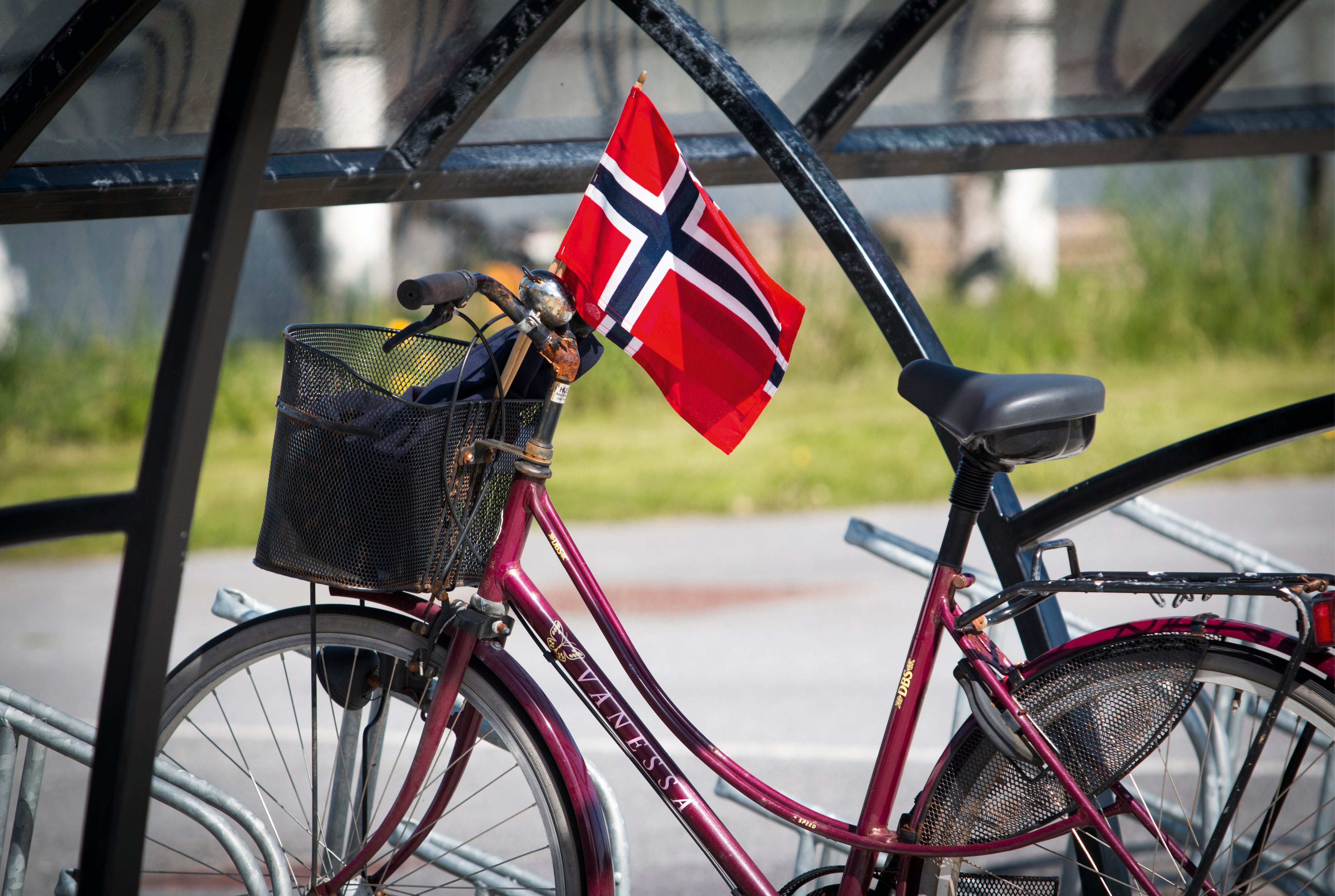 Flaggedbike-150x100cm.jpg