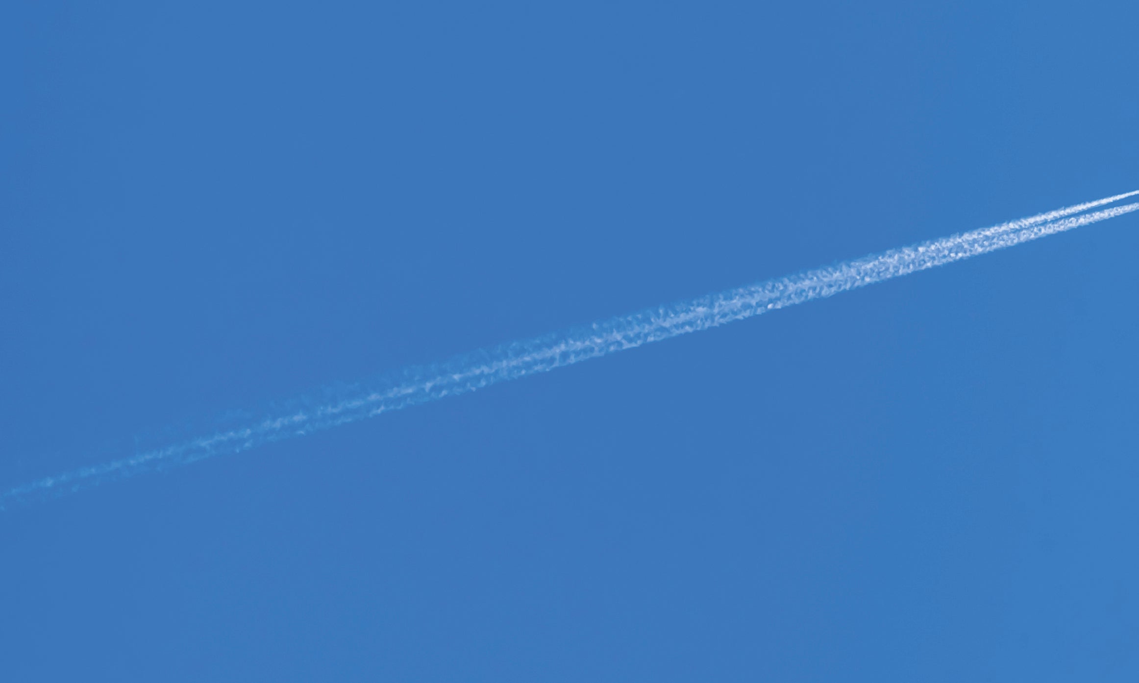 Flightline-80x120cm.jpg