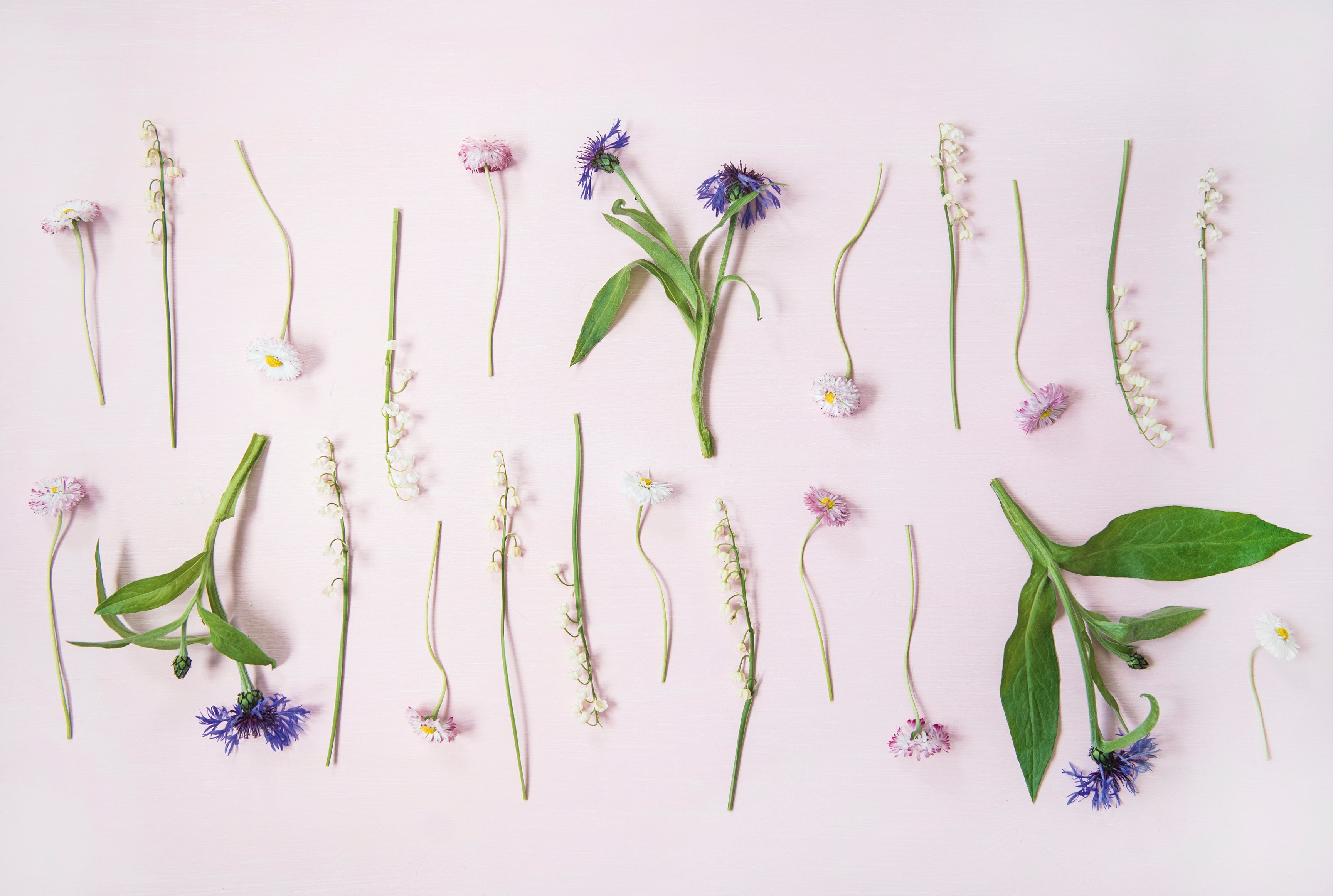 Floragrid