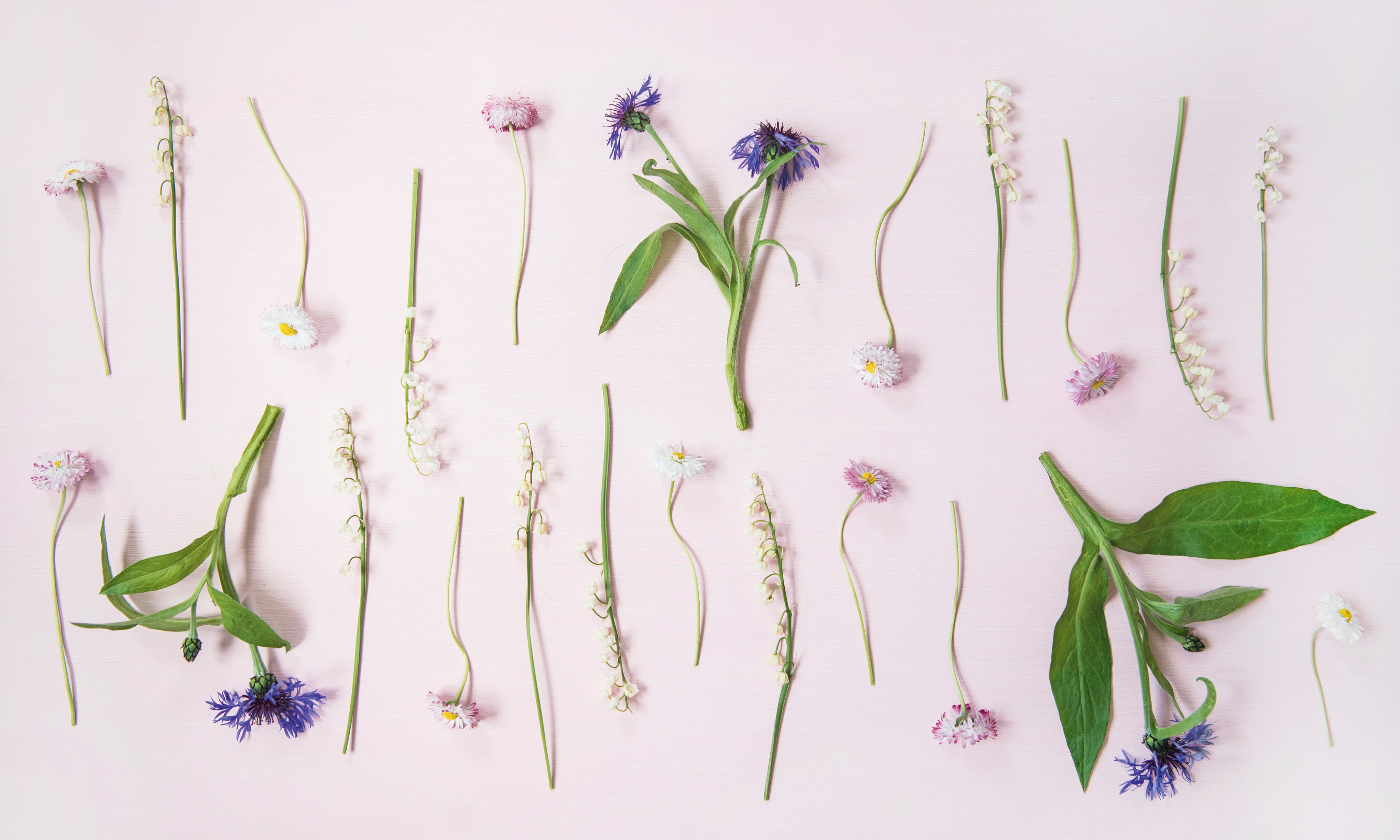 Floragrid-150x100cm_334994e5-4491-479b-9a67-89b6ef04a720.jpg