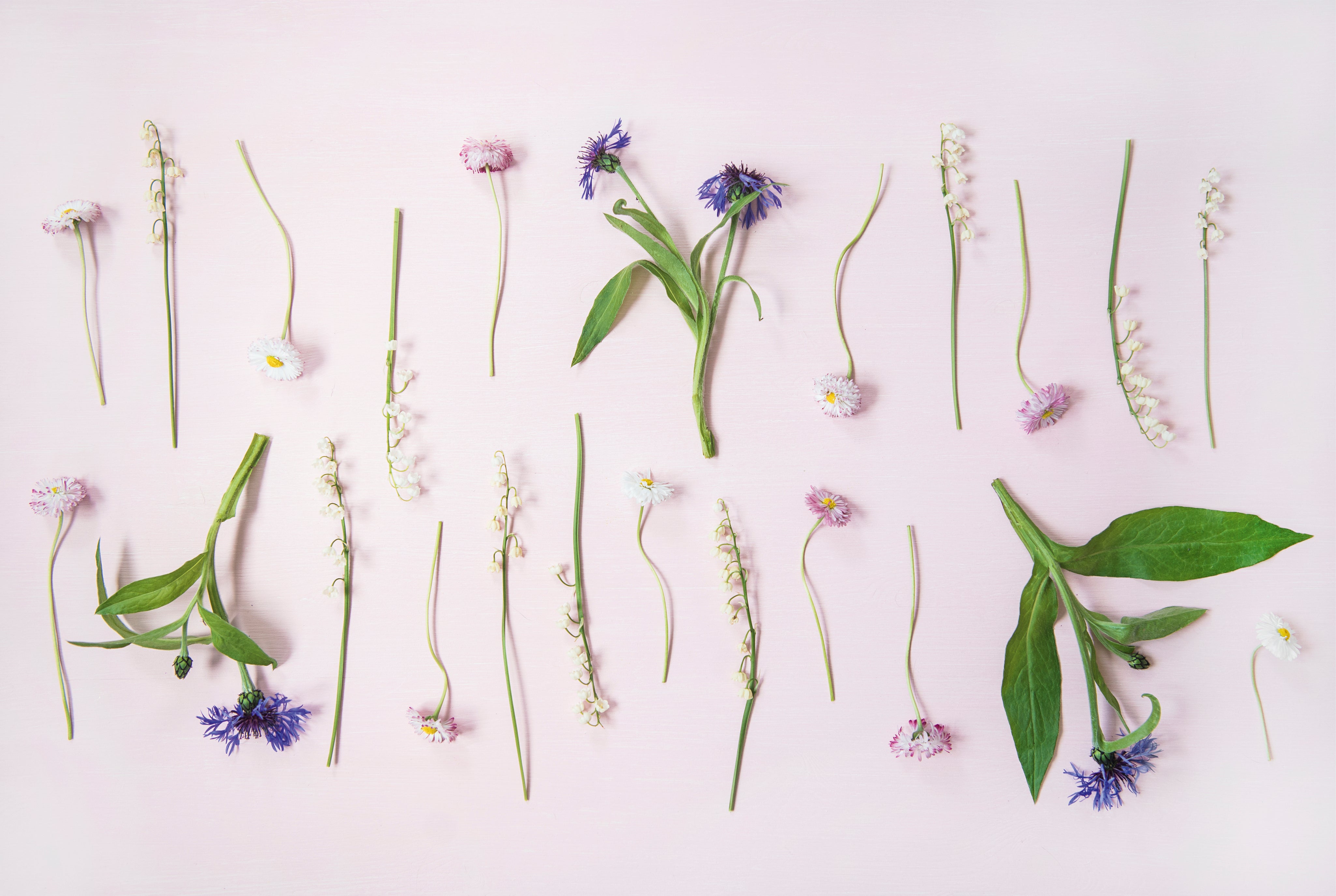 Floragrid