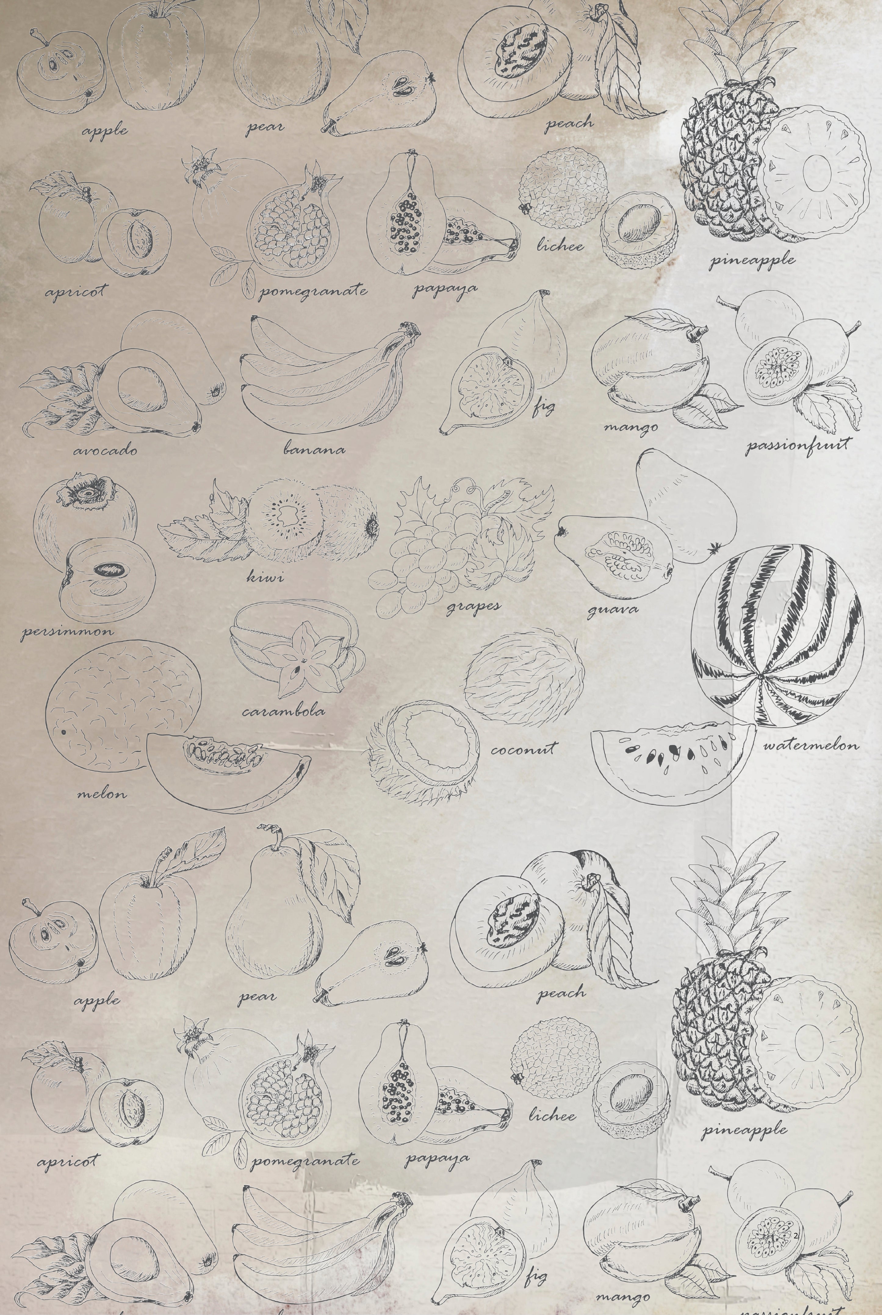 Fruit studies