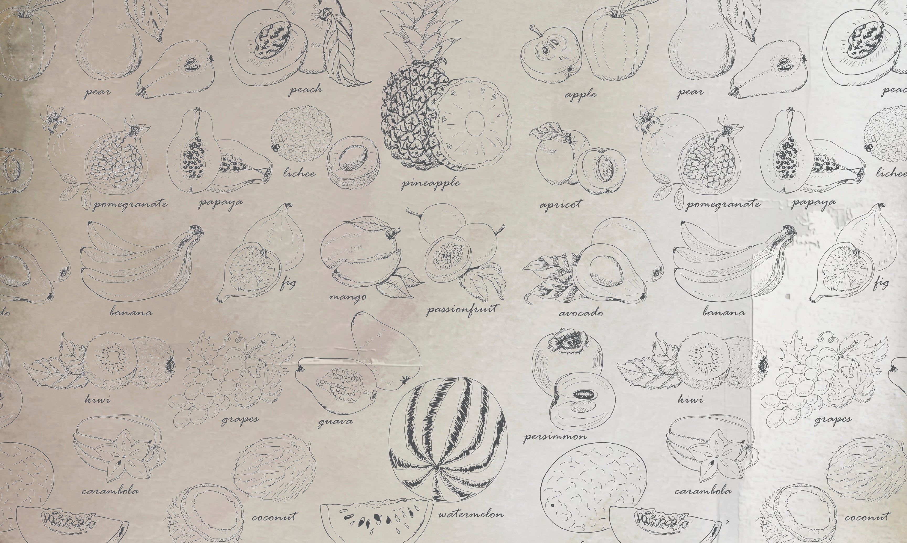 Fruitstudies-120x80cm.jpg