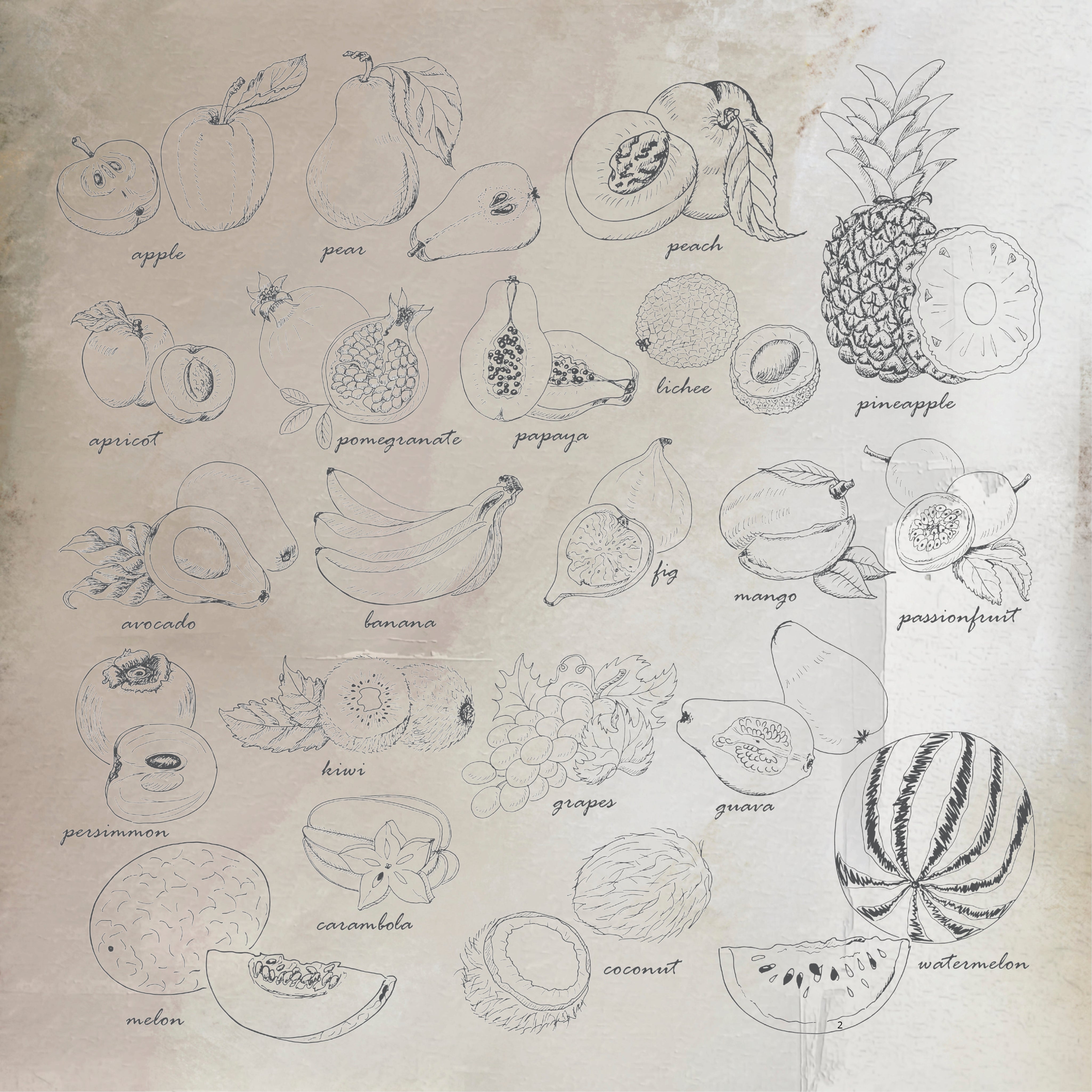 Fruit studies