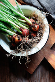 Garden bounty
