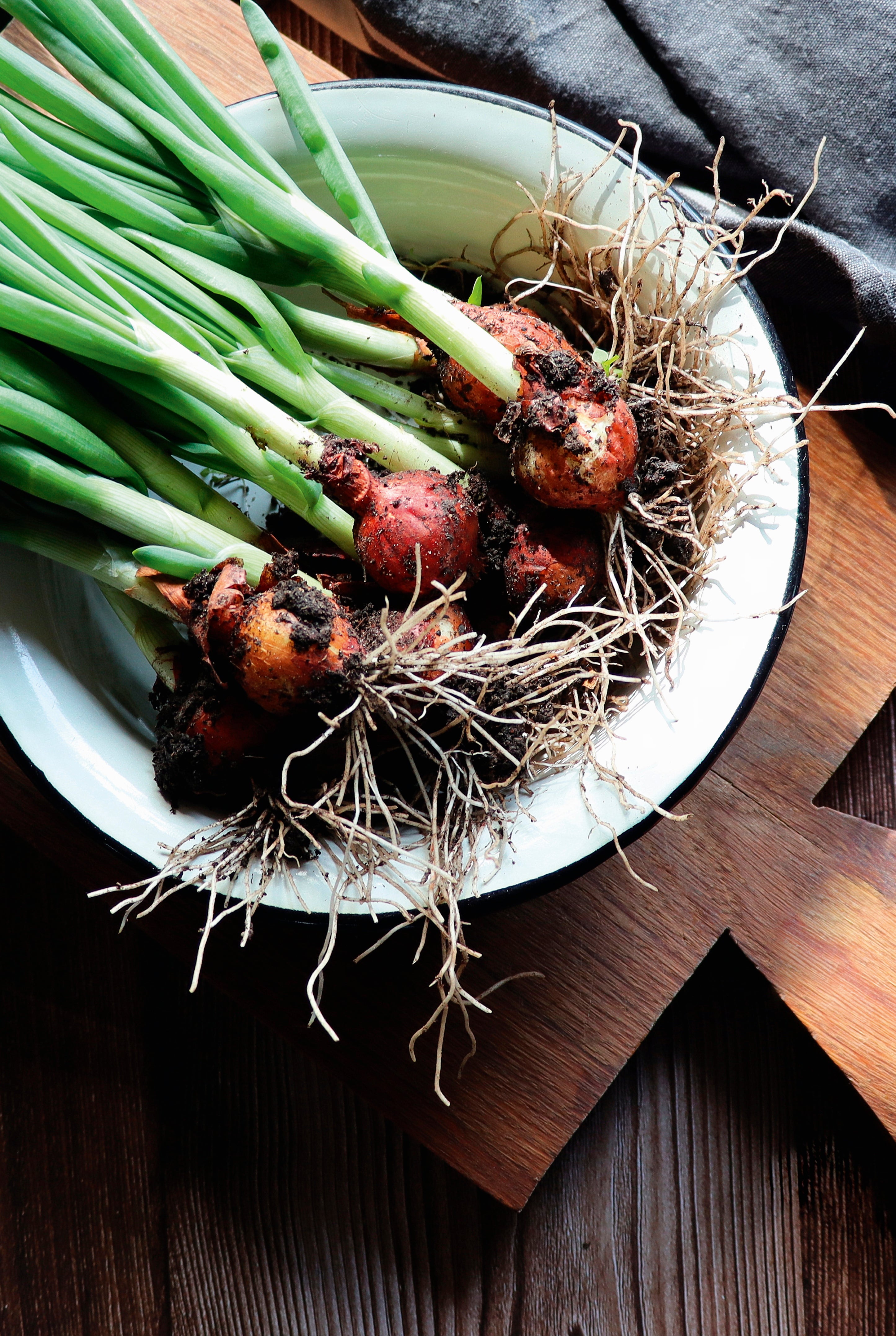 Garden bounty
