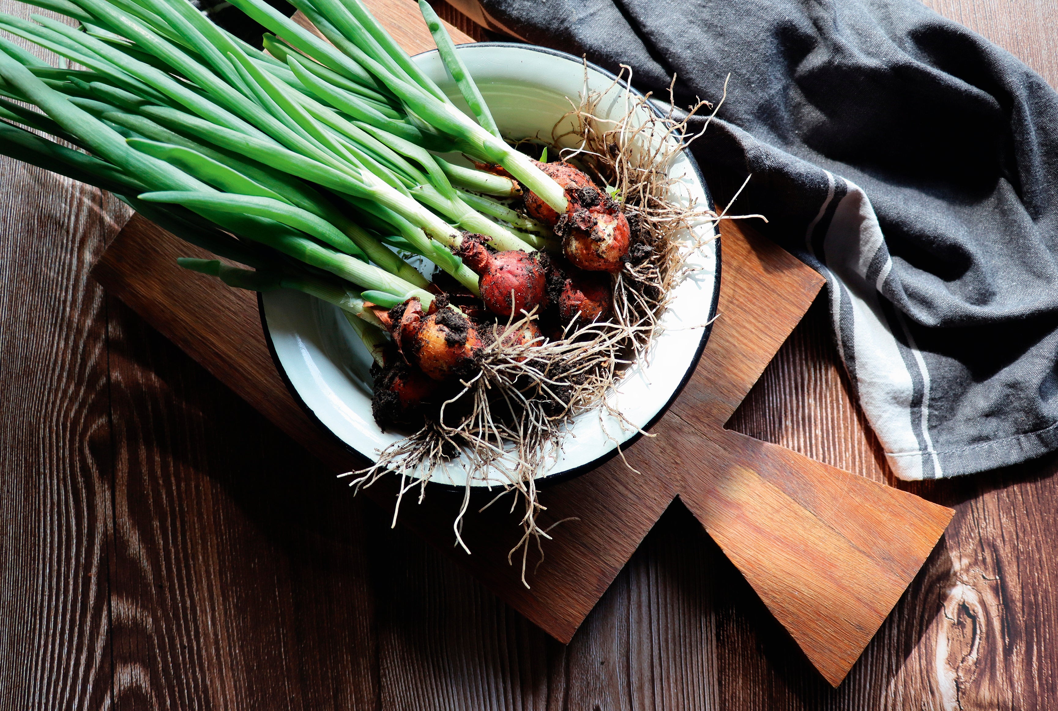 Garden bounty