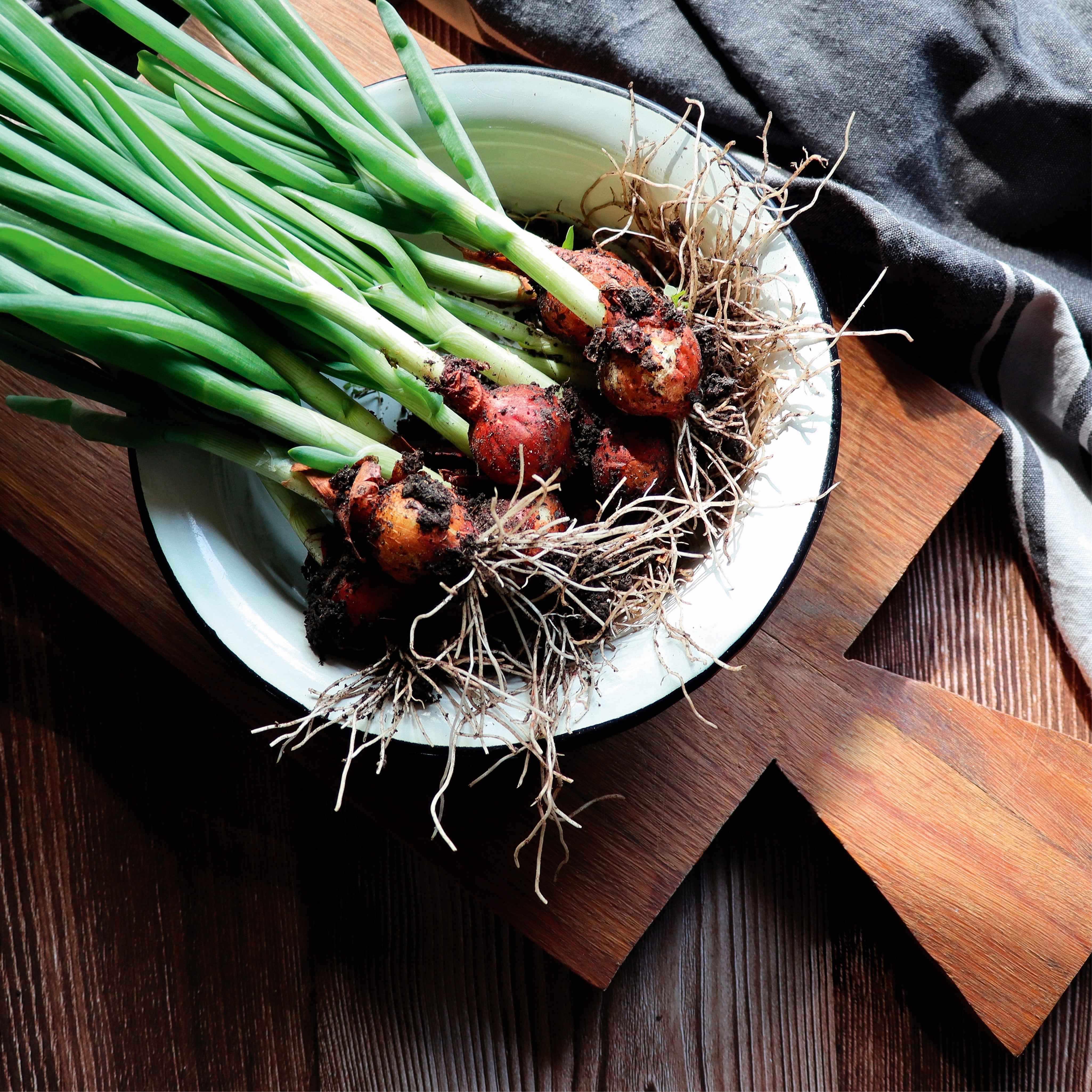 Garden bounty
