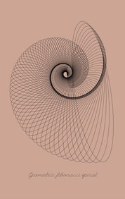 Geometric fibonacci spiral
