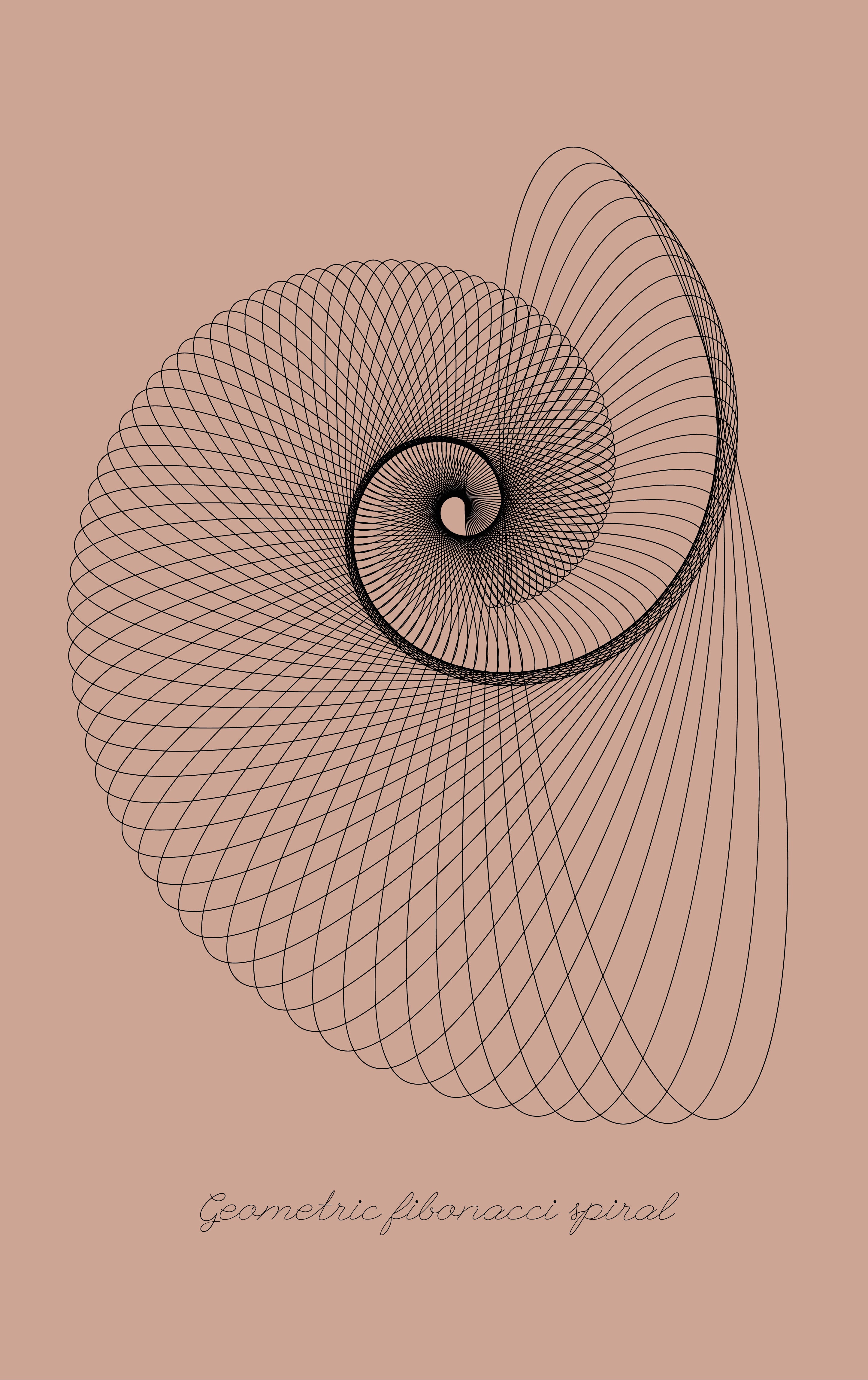 Geometric fibonacci spiral