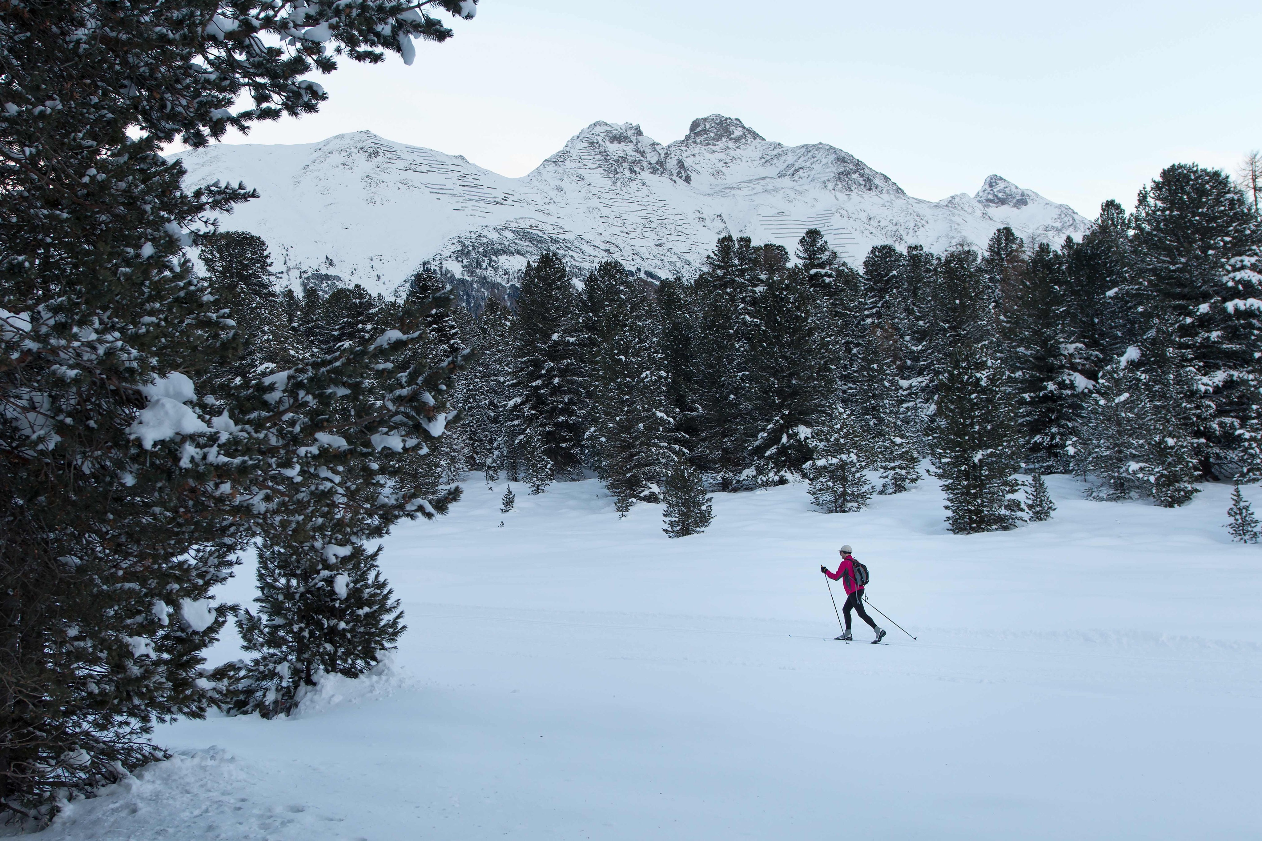 Gliding winter's Wonderland