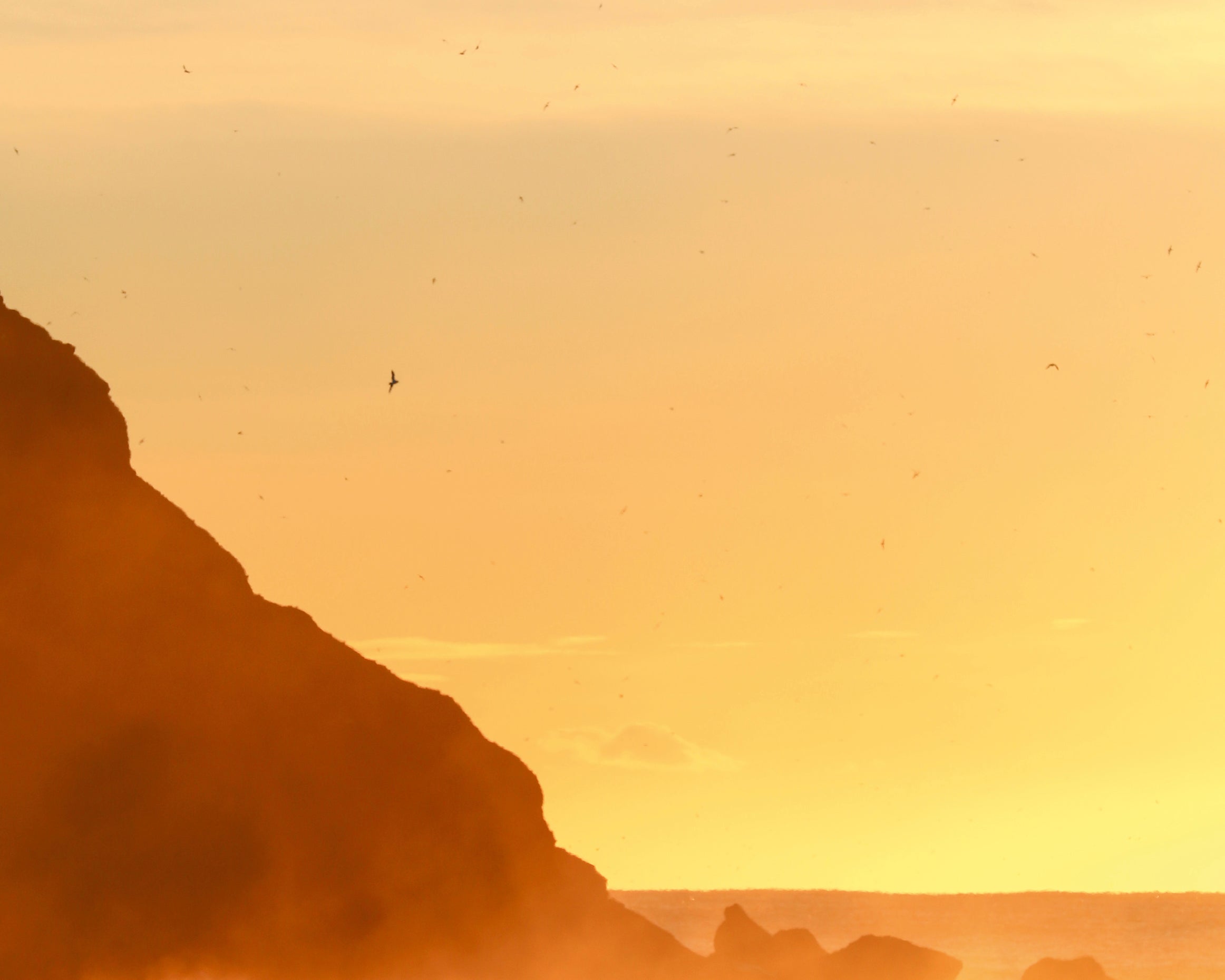 Goldenhunt-80x120cm.jpg