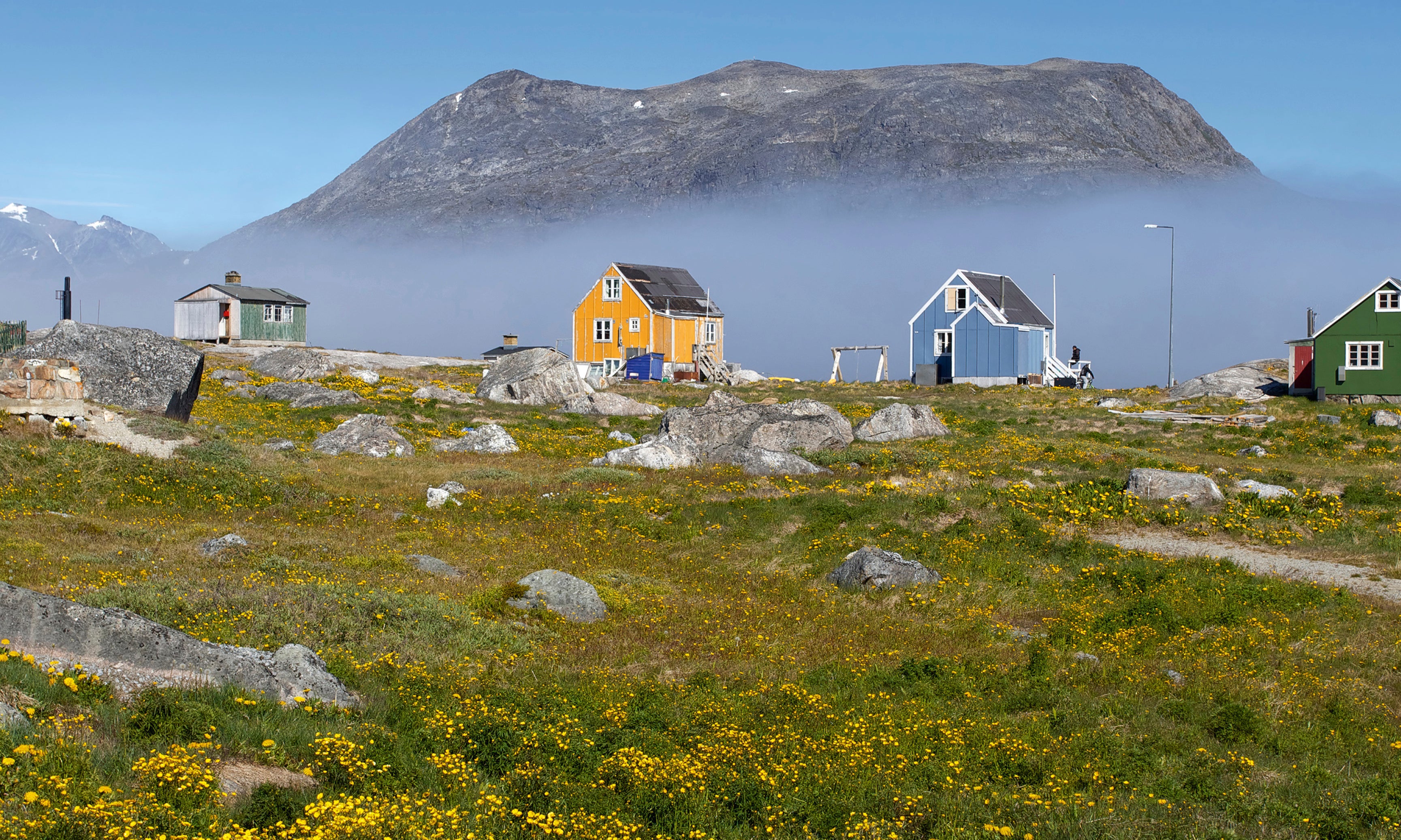Greenlandinbloom-120x80cm.jpg