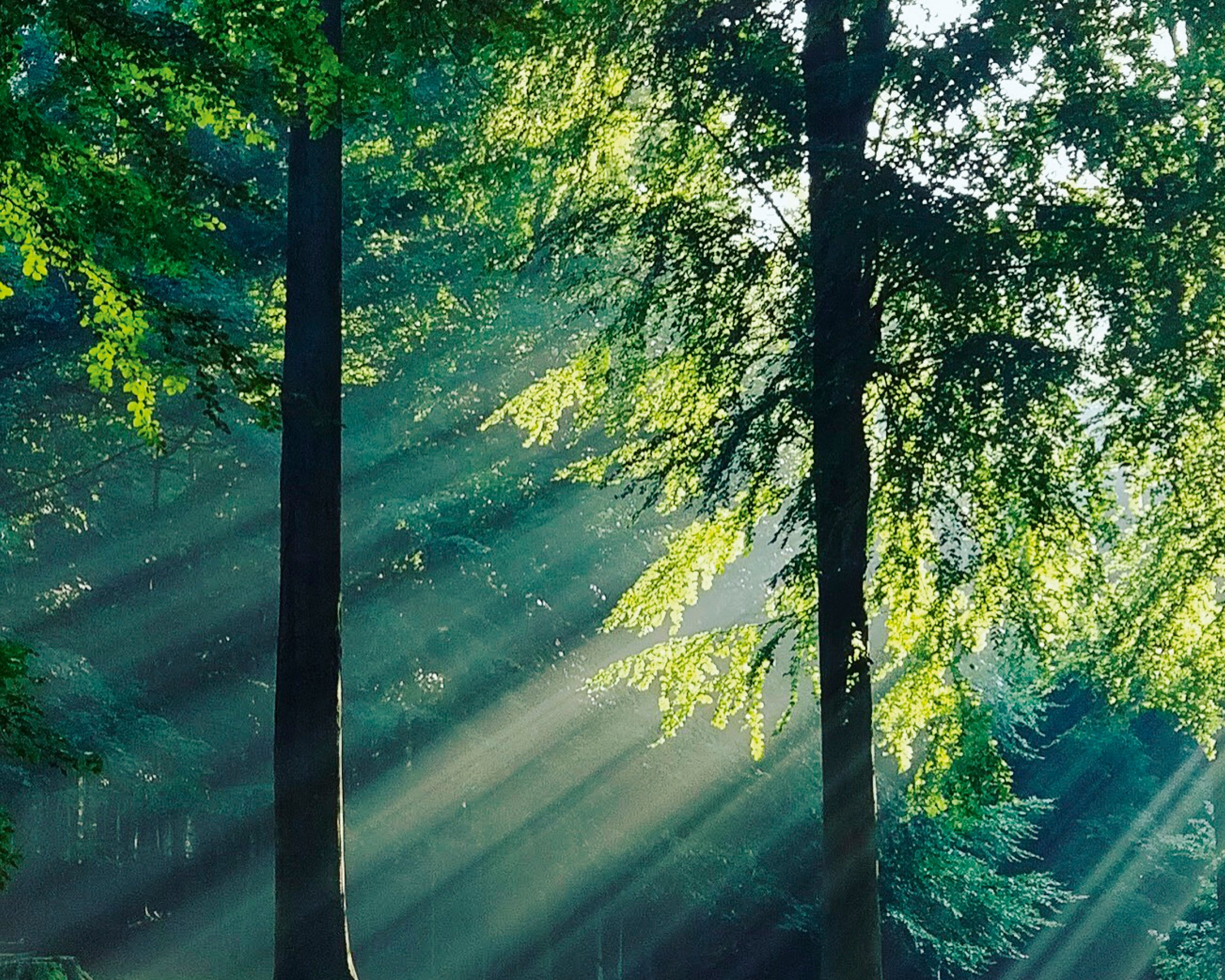 Greenleaves-100x160cm.jpg