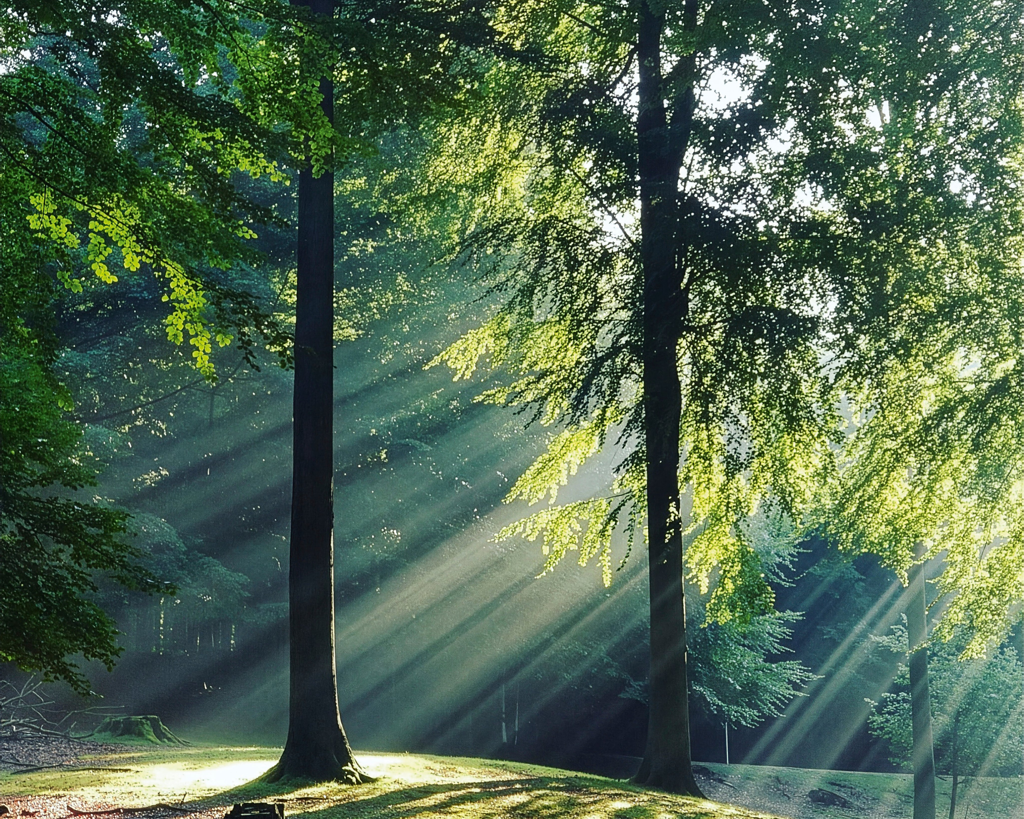 Greenleaves-150x150cm.jpg