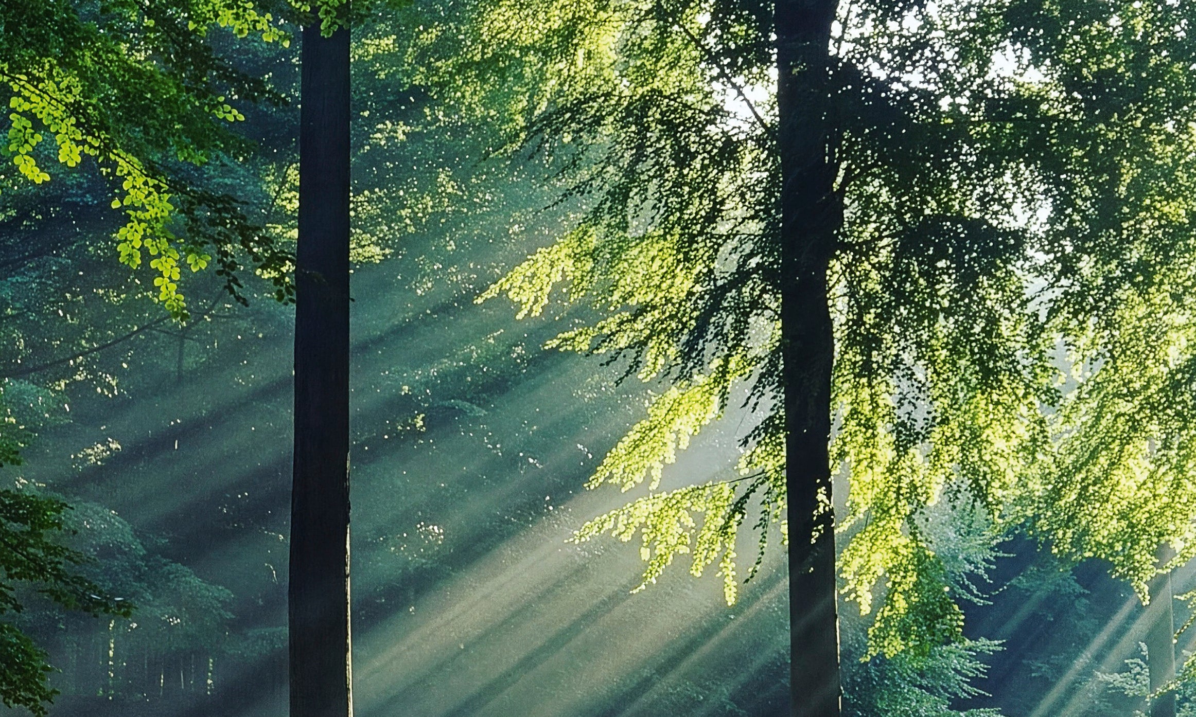 Greenleaves-80x120cm.jpg