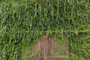 Greenmass