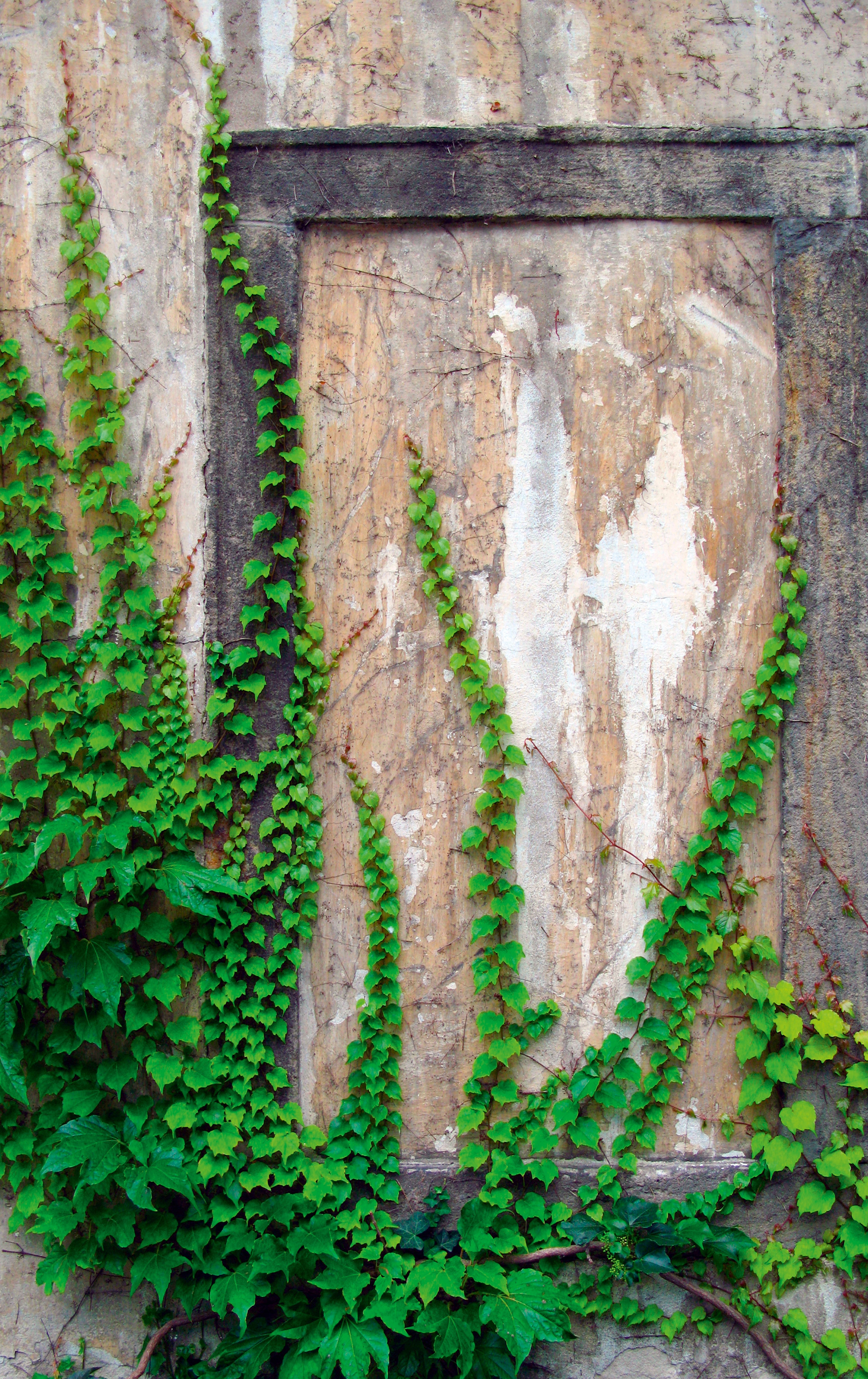 Green traces