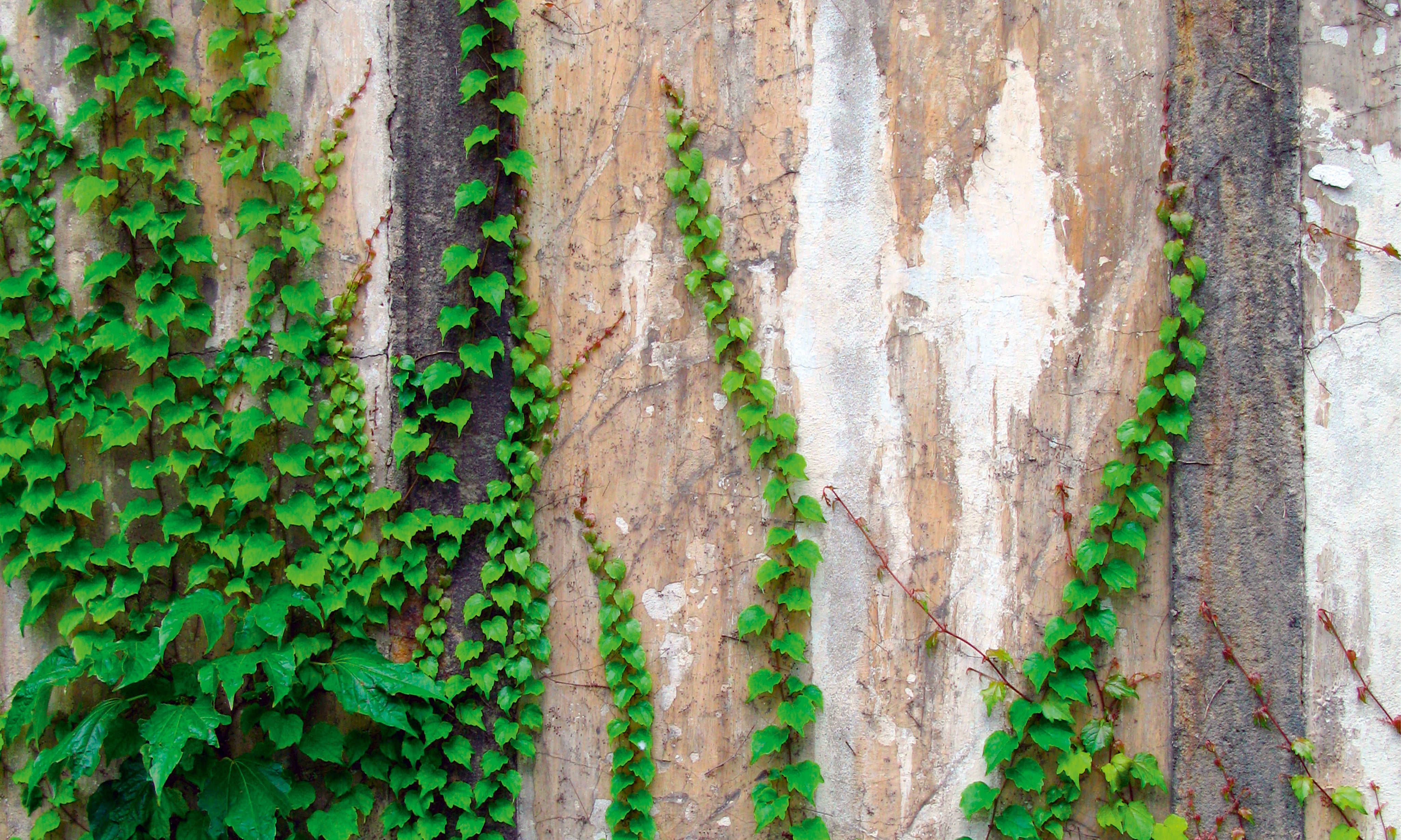 Greentraces-150x100cm.jpg