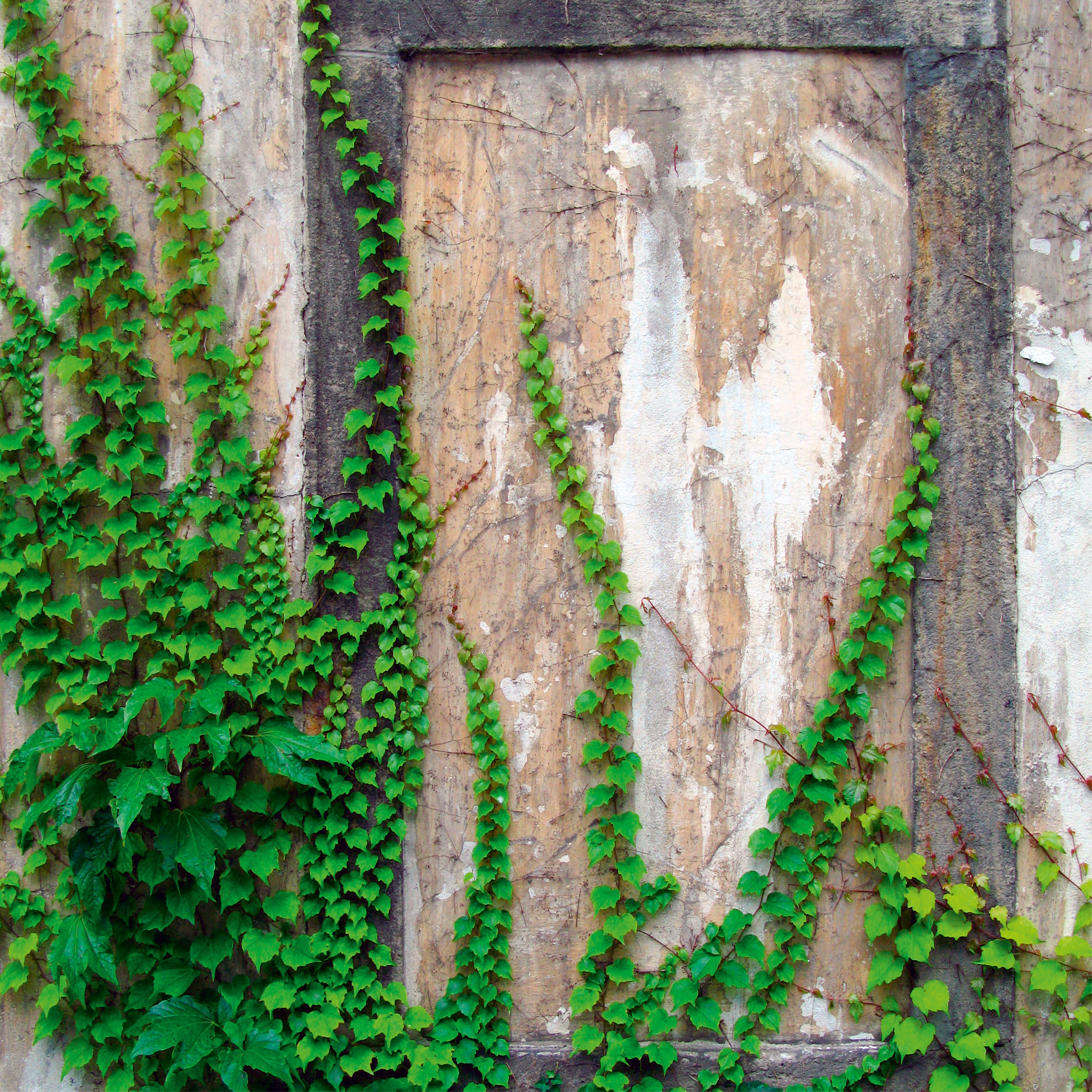 Green traces