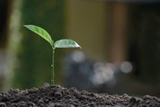 Growing hope