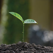 Growing hope