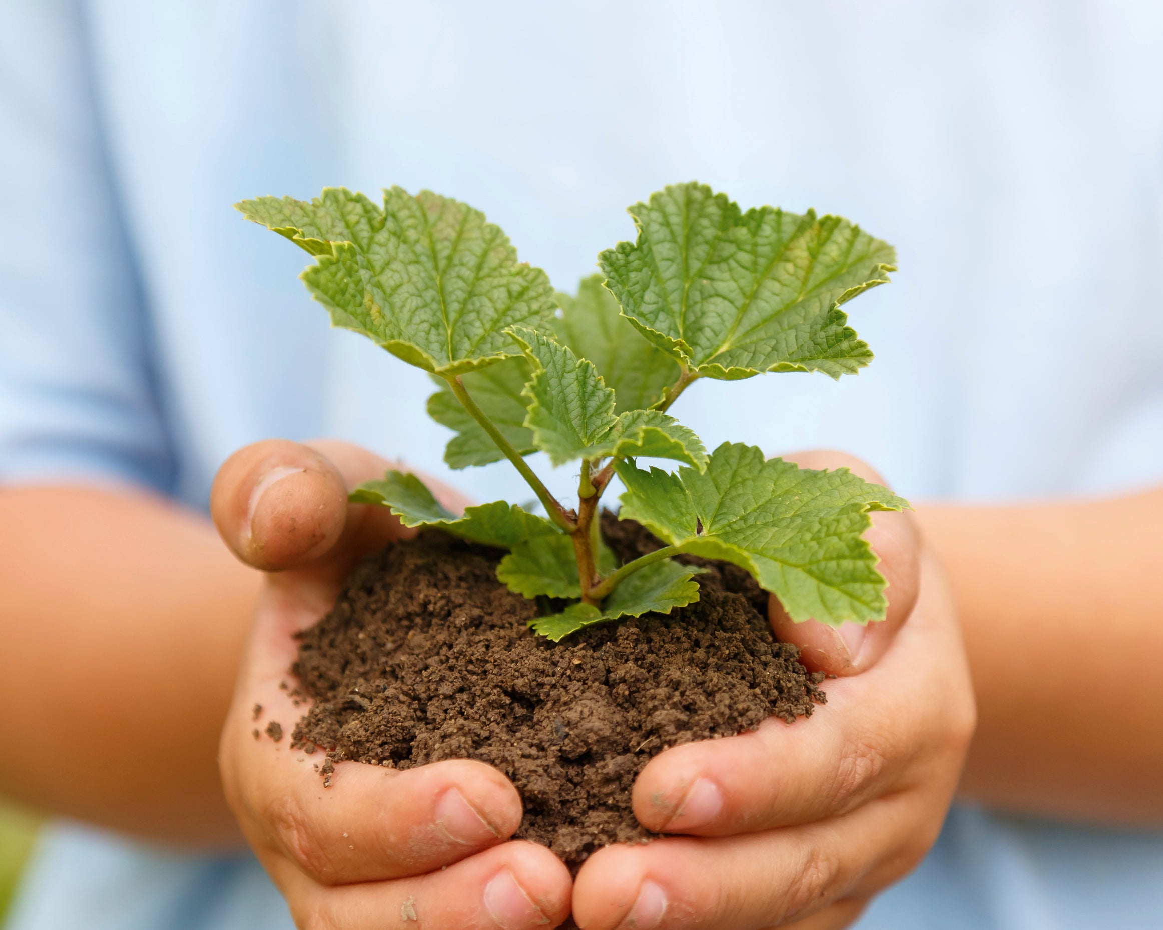 Growthpotential-80x120cm.jpg