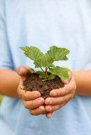 Growth potential