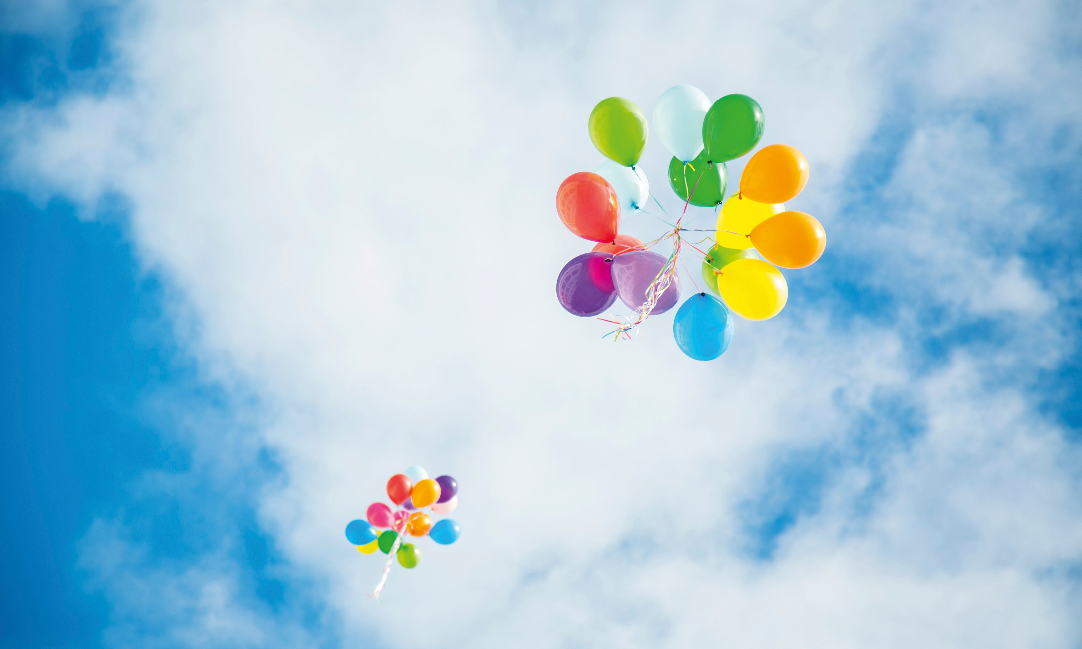 Happyflight-120x80cm.jpg
