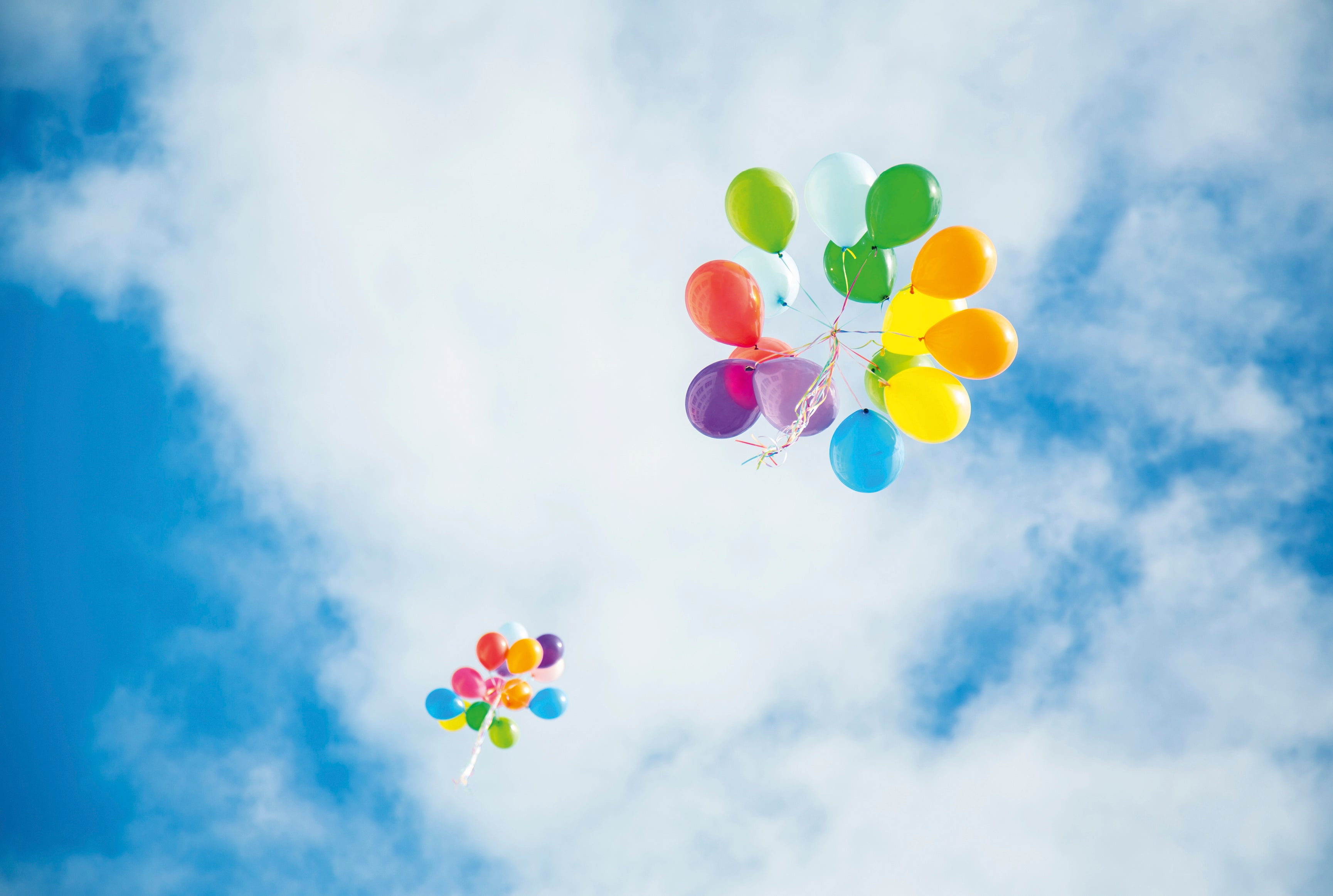 Happyflight-120x80cm.jpg