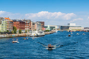 Harbour buzz